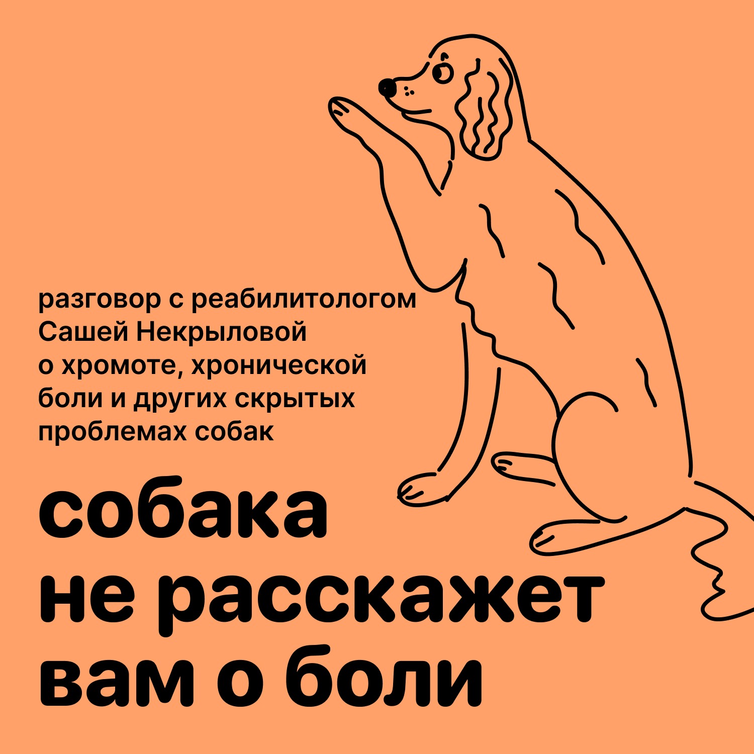 Собака не расскажет вам о боли. Выпуск с реабилитологом episode artwork
