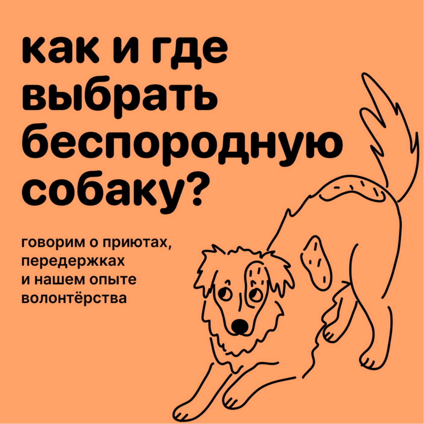Как и где выбрать беспородную собаку? Говорим о приютах и волонтёрстве episode artwork