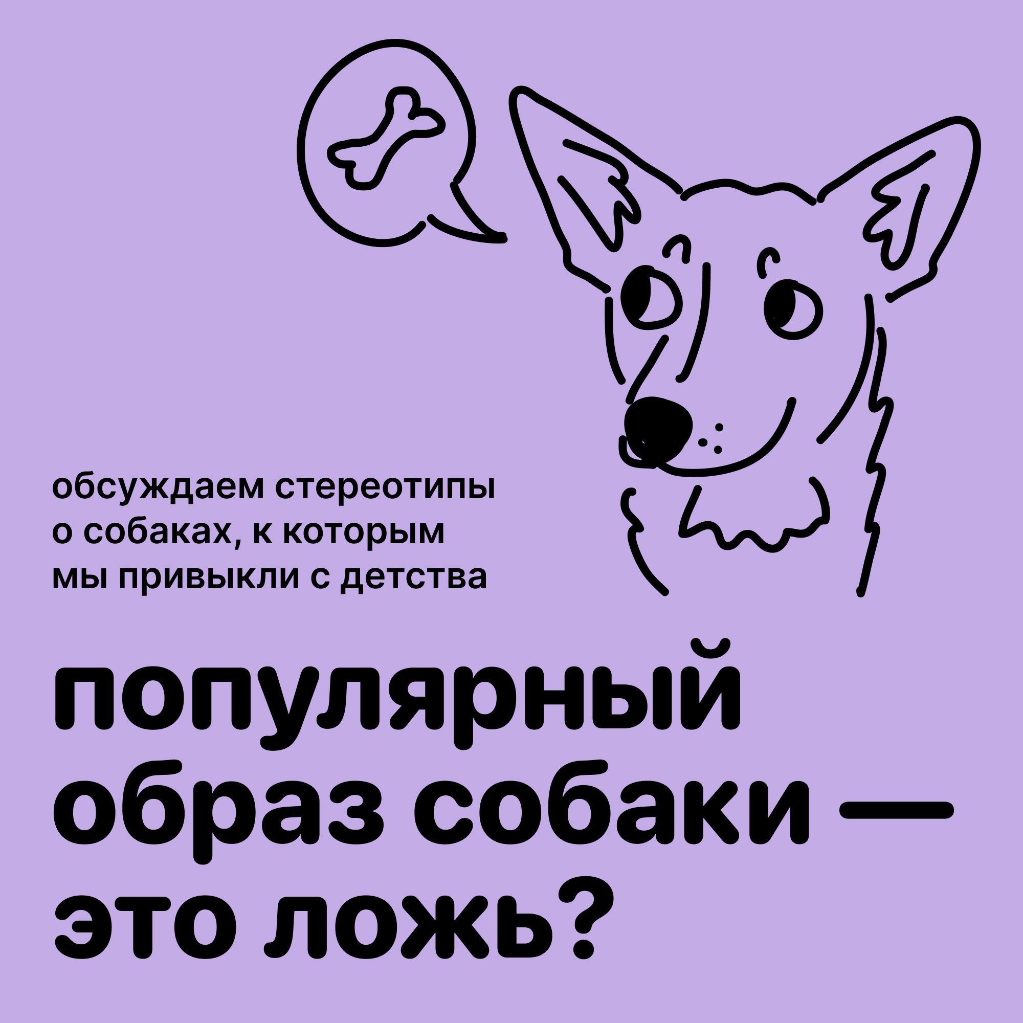 Популярный образ собаки — это ложь? Стереотипы о собаках, часть 2 episode artwork
