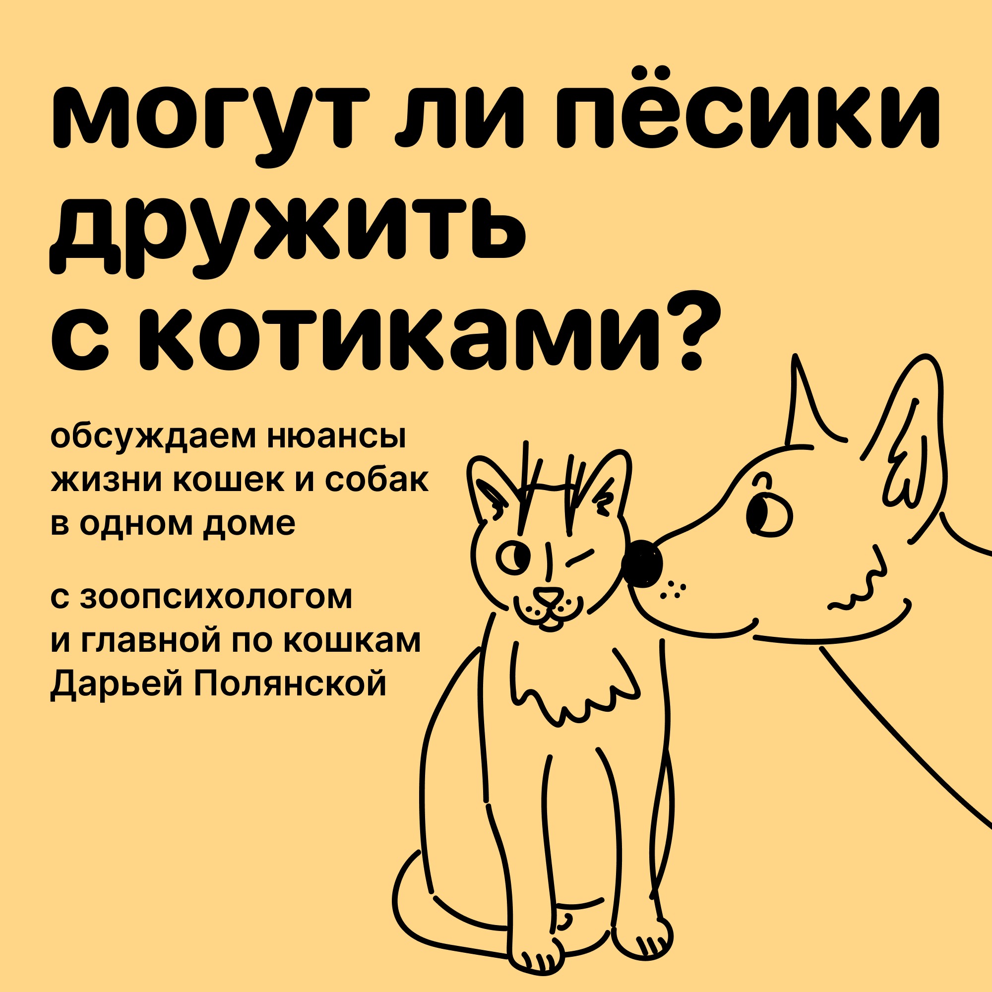 Могут ли пёсики дружить с котиками? Разговор с зоопсихологом episode artwork