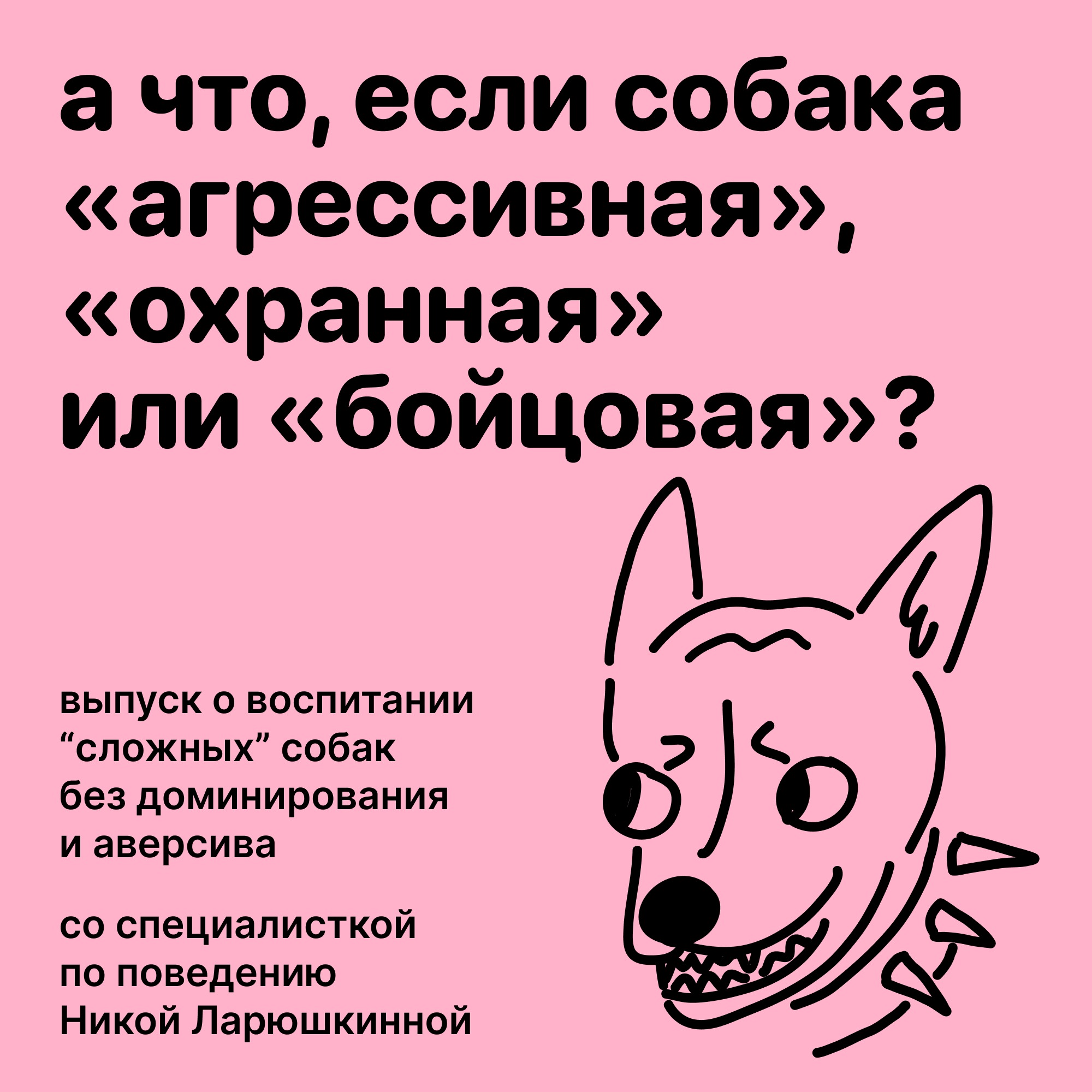 А что, если собака «агрессивная», «охранная» или «бойцовая»? Выпуск с кинологом о методах воспитания «сложных» собак episode artwork