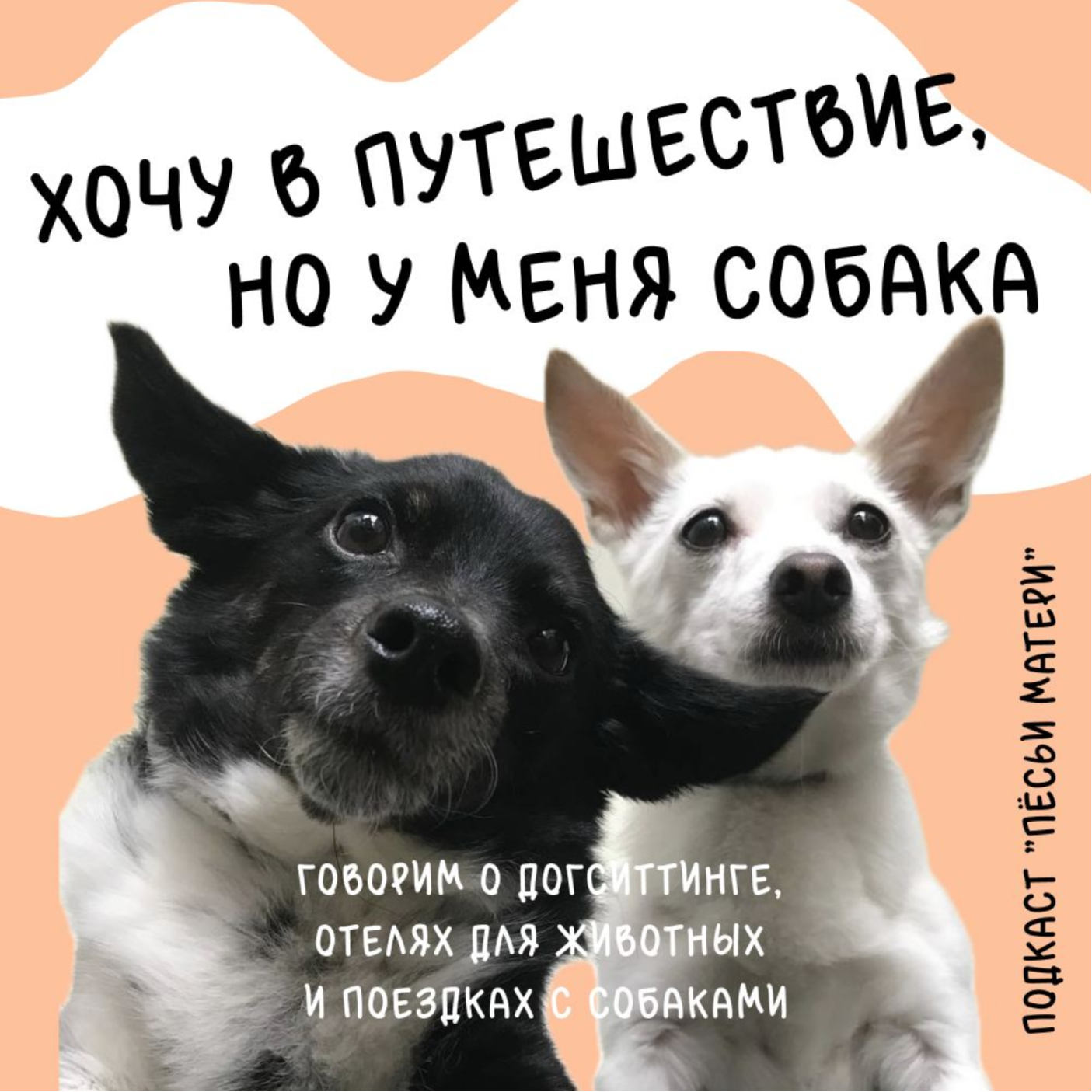 Хочу в путешествие, но у меня собака. Говорим о догситтинге, отелях для животных и поездках с собаками episode artwork