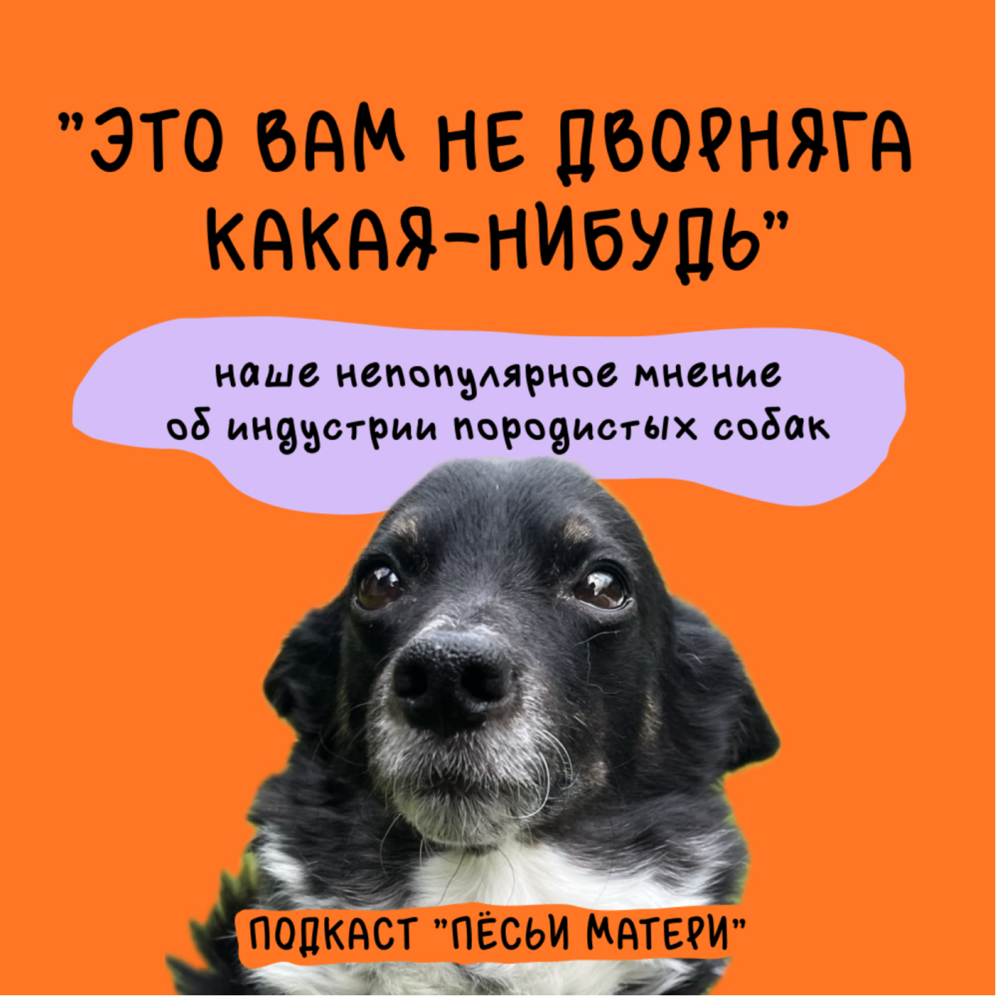 Это вам не дворняга какая-нибудь! Наше непопулярное мнение об индустрии собак episode artwork