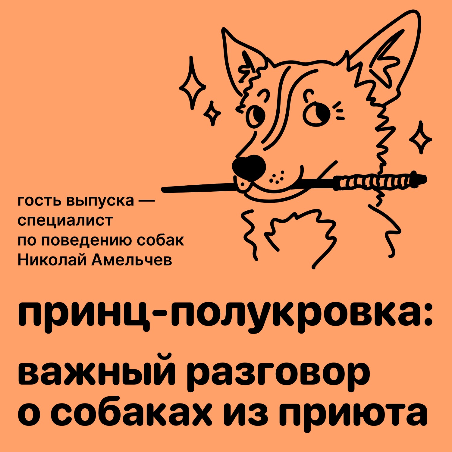 Принц-полукровка: важный разговор о собаках из приюта episode artwork