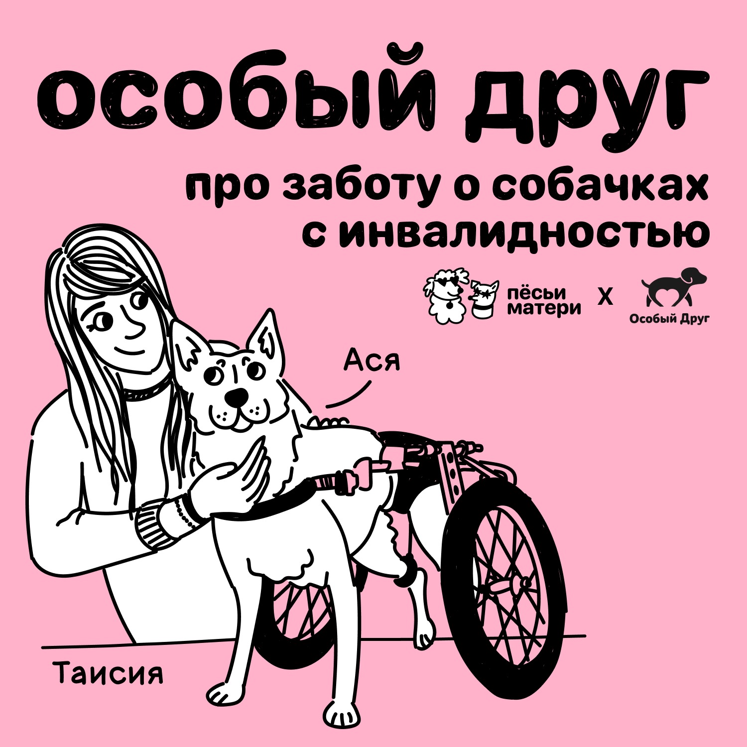 Особый друг. Про заботу о собачках с инвалидностью episode artwork