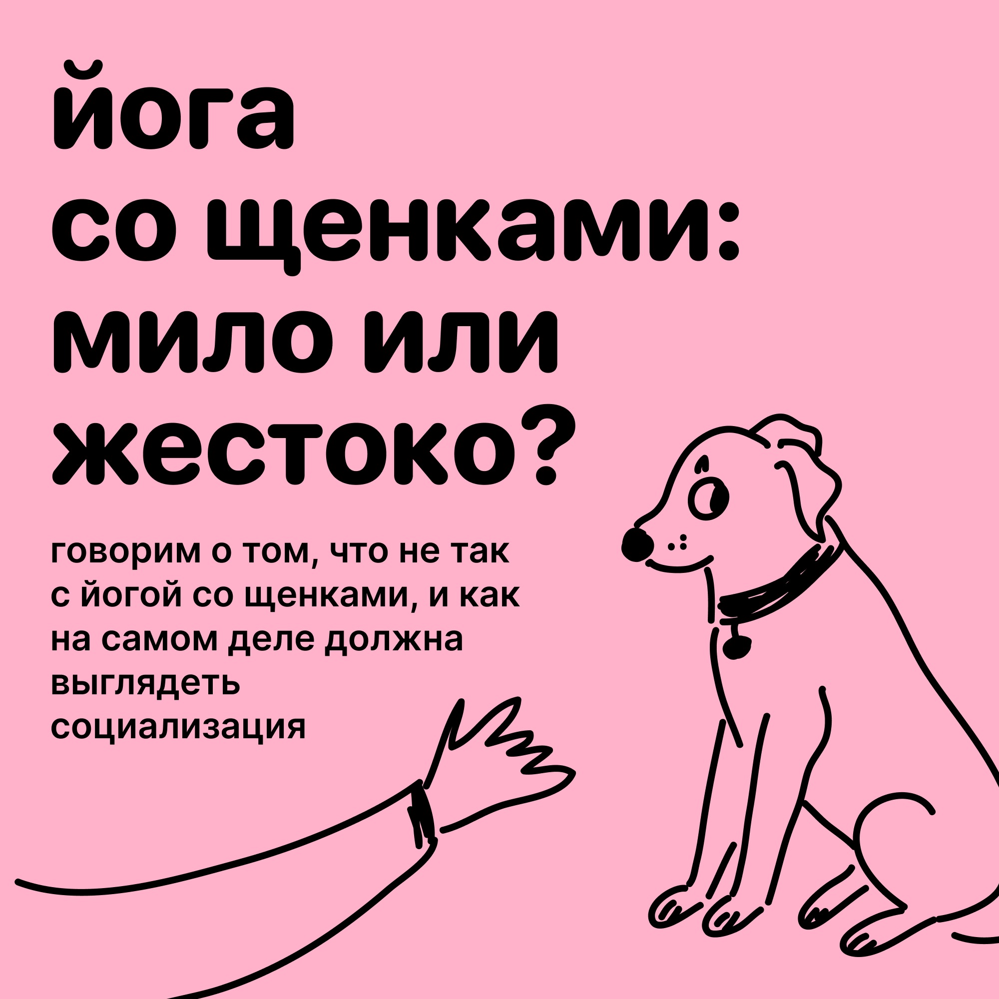 Йога со щенками: мило или жестоко? Разбираемся со специалистами episode artwork