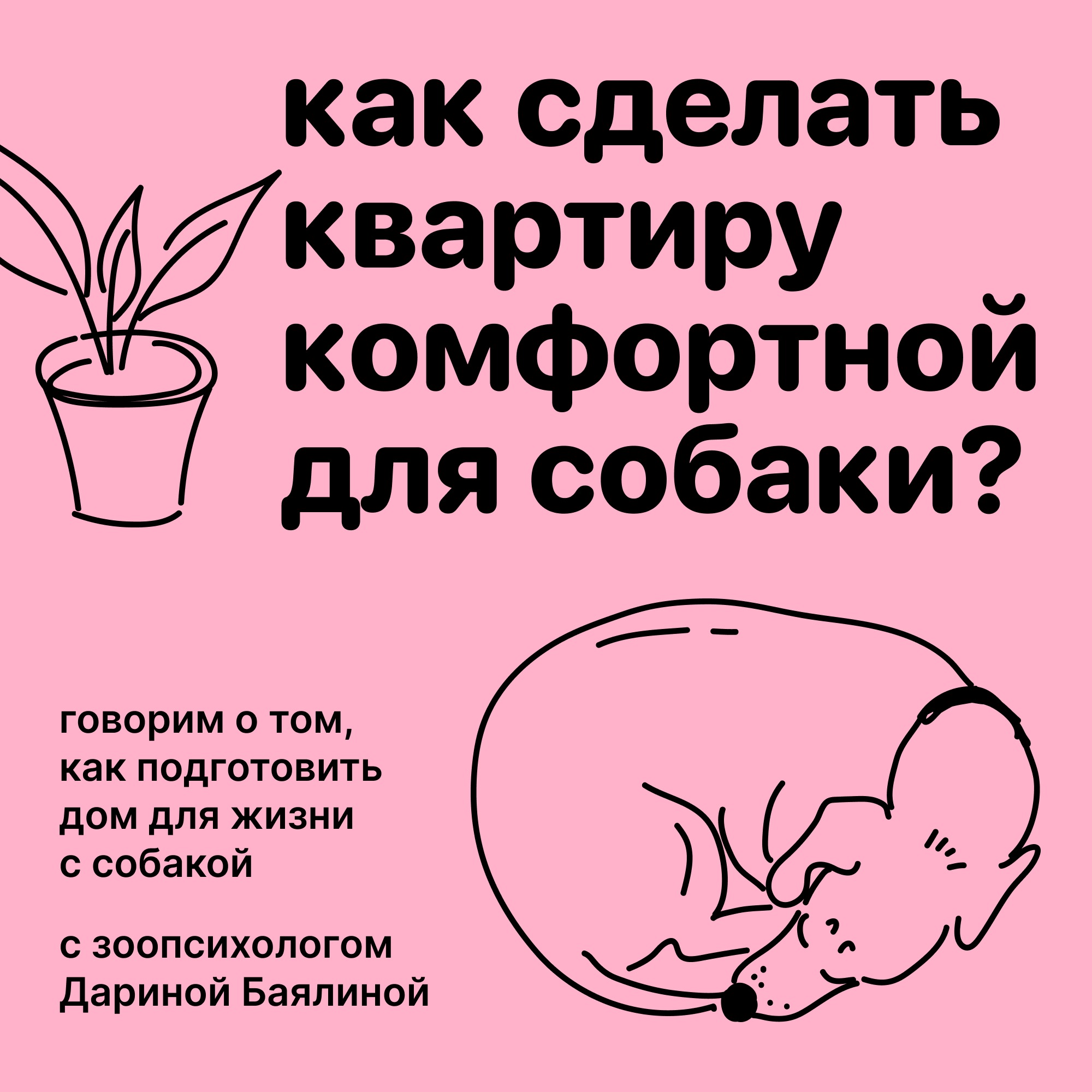 Как сделать квартиру комфортной для собаки? Рекомендации зоопсихолога episode artwork