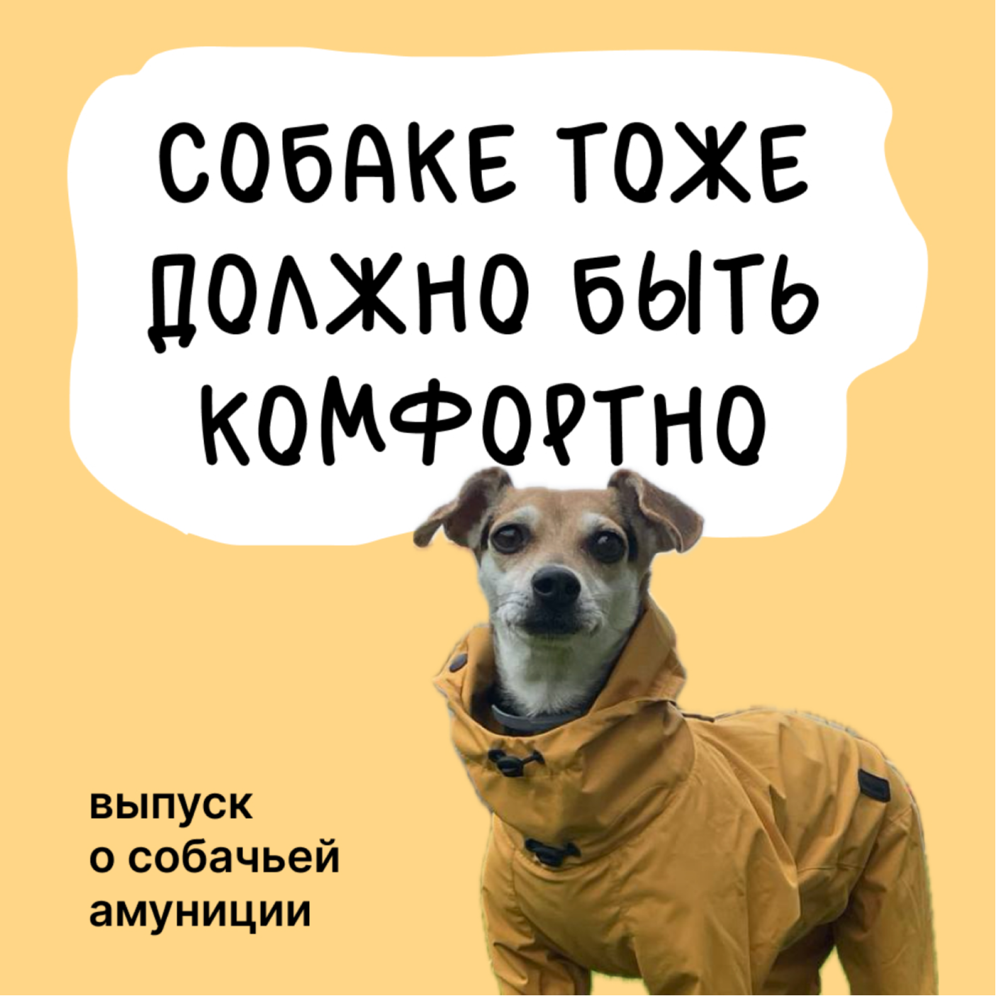 Собаке тоже должно быть комфортно. Выпуск о собачьей амуниции episode artwork