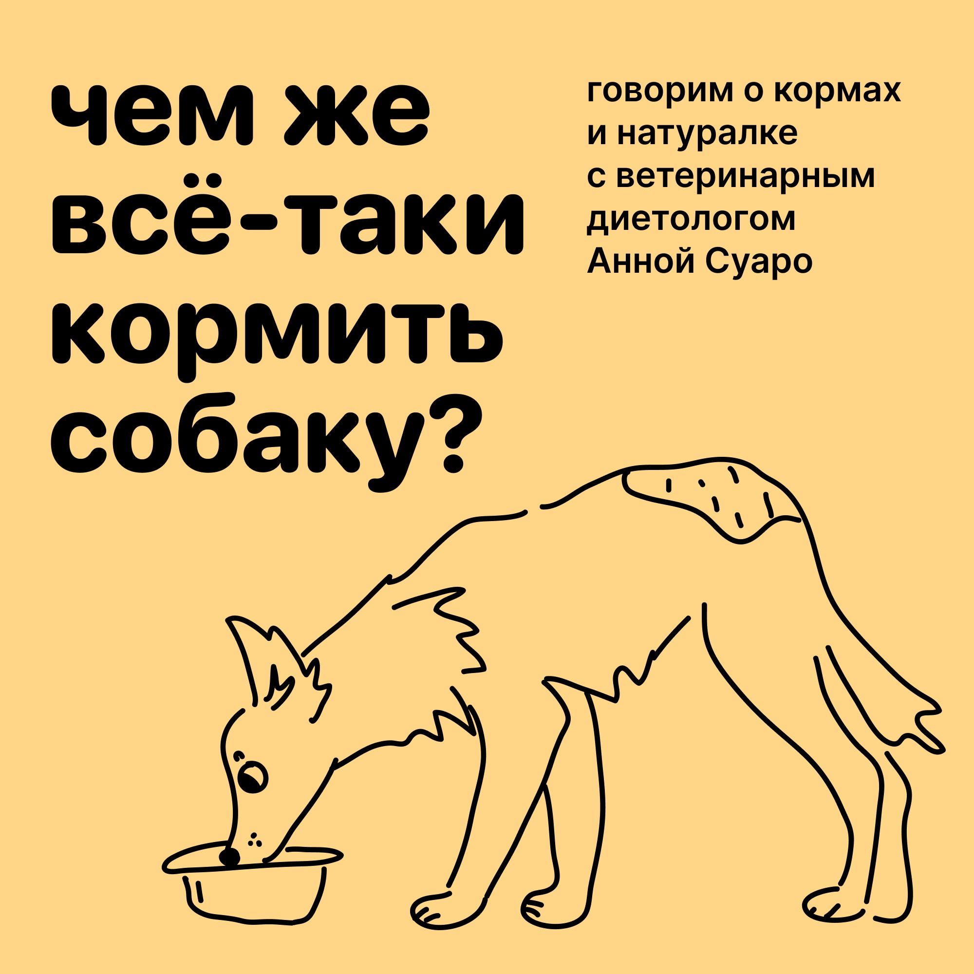 Чем же всё-таки кормить собаку? Выпуск о кормах и натуралке с диетологом Анной Суаро episode artwork