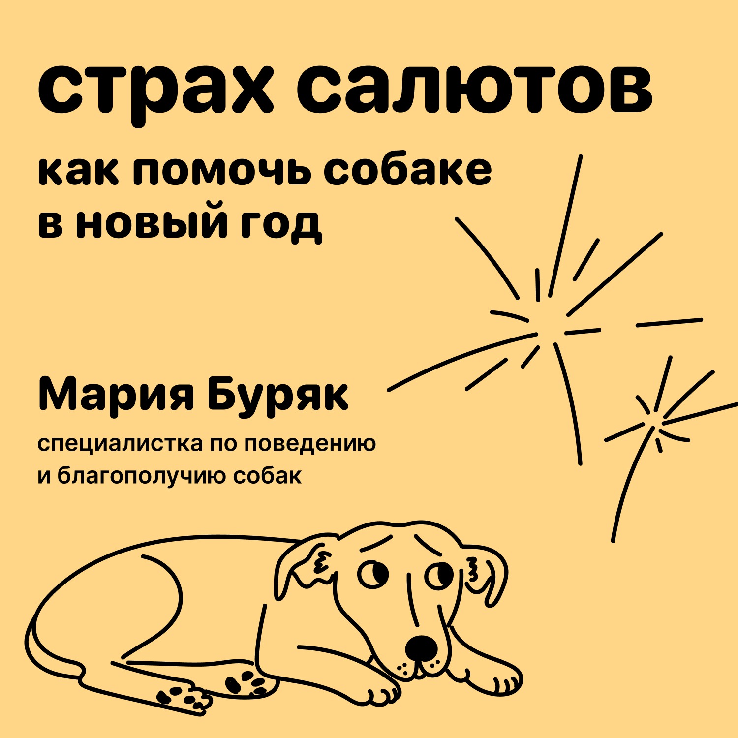 Страх салютов. Как помочь собаке в Новый год episode artwork