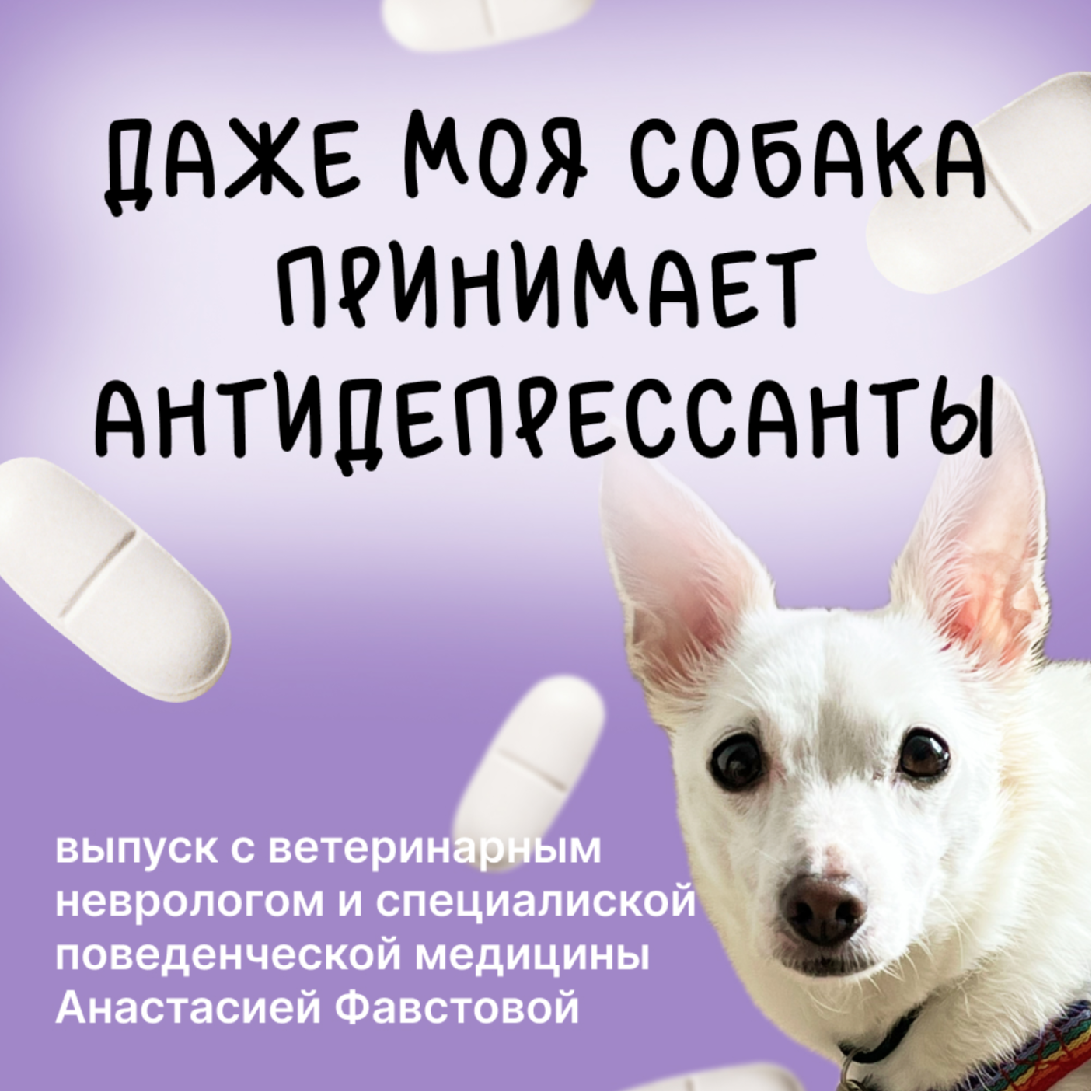 Даже моя собака принимает антидепрессанты. О медикаментозной поддержке собак, выпуск с ветеринарным неврологом episode artwork