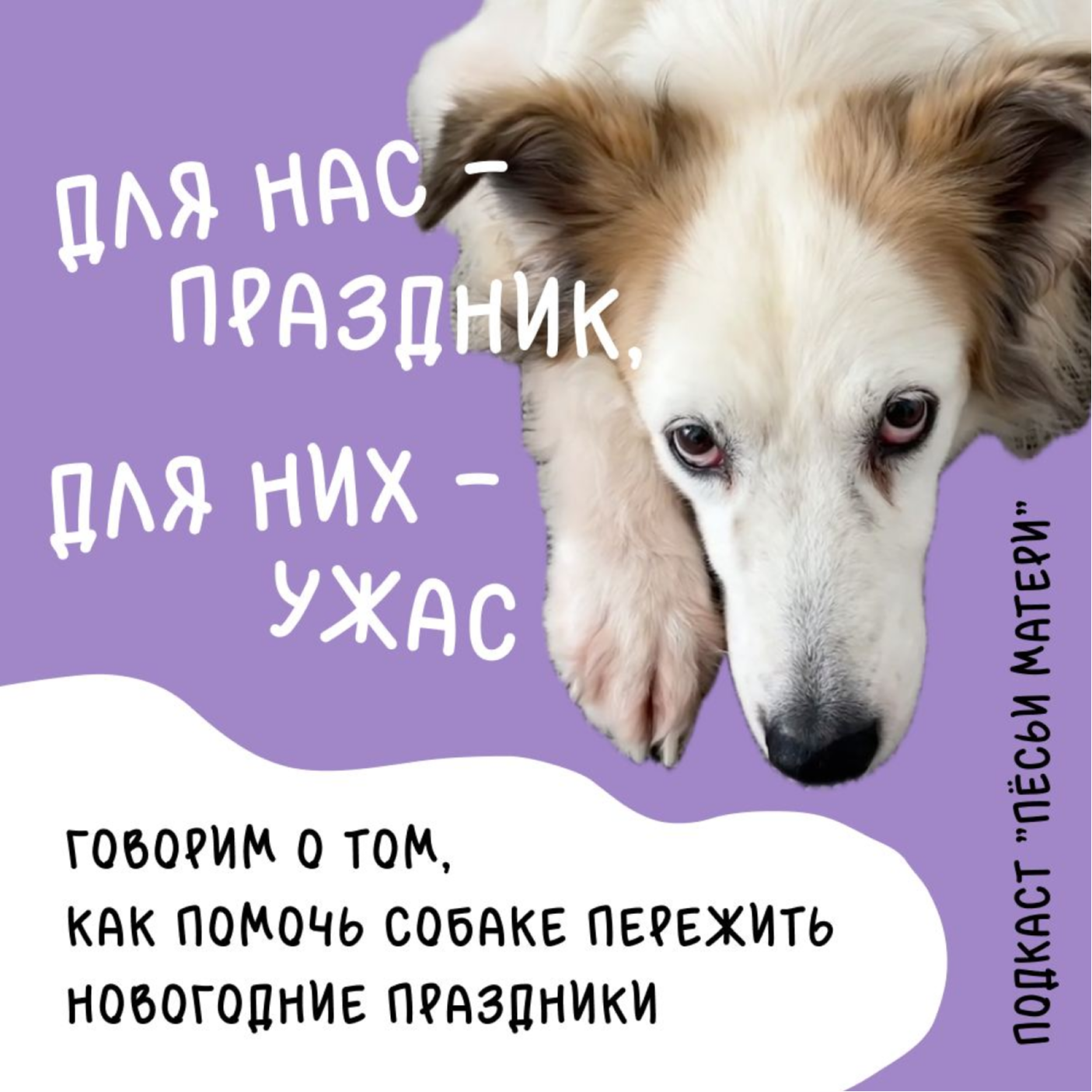Для нас — праздник, для них — ужас. Как помочь собаке пережить новогодние праздники episode artwork