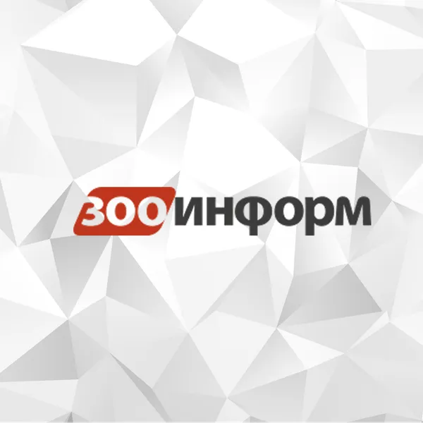 Зообизнес
