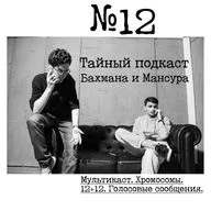 №12 - Мультикаст. Хромосомы. 12+12. Голосовые сообщения.