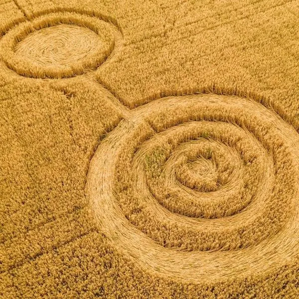 Заметки на полях