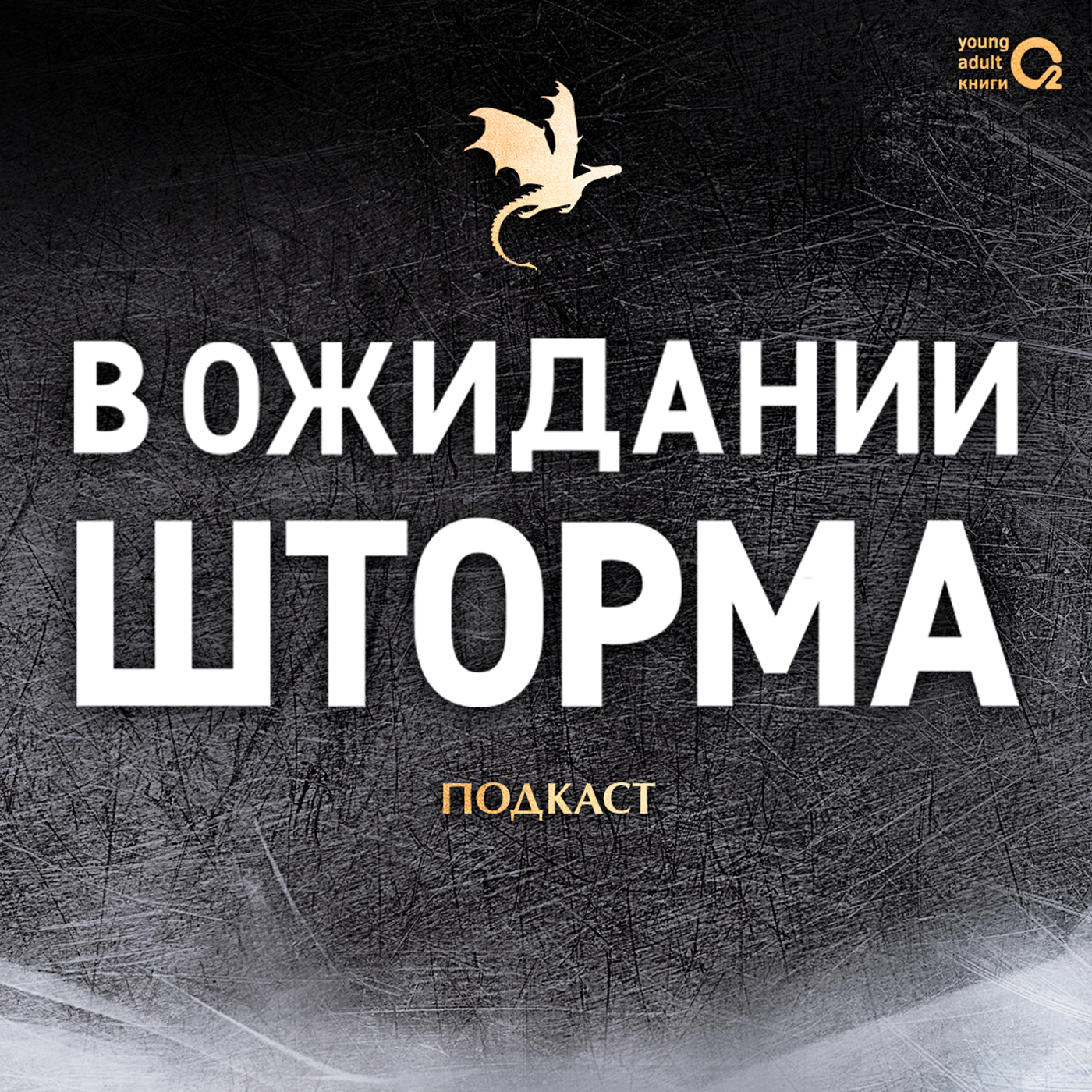 1. В ОЖИДАНИИ ШТОРМА с Ириной Бакулиной, заведующей редакцией молодёжной литературы О2 episode artwork