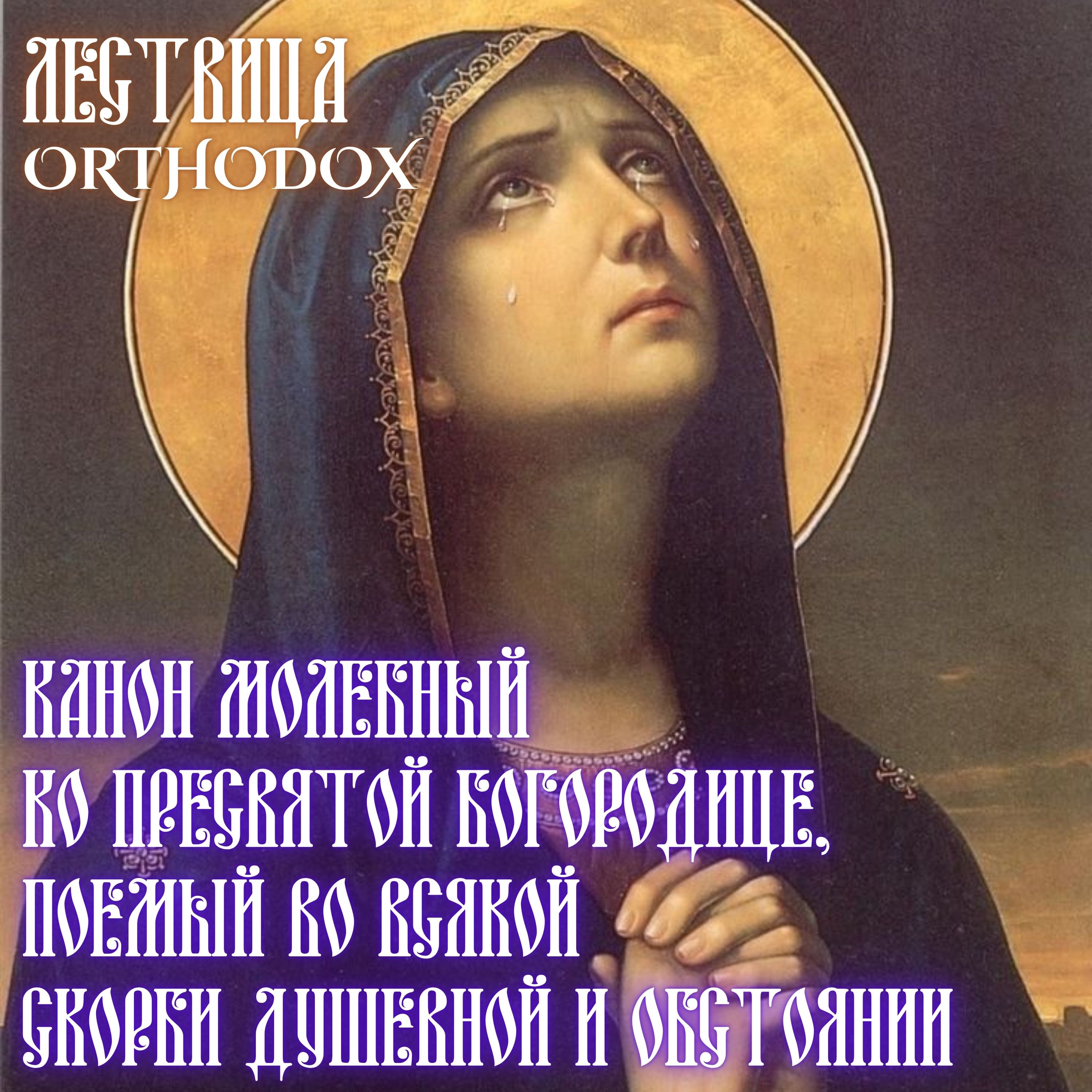 Канон молебный ко Пресвятой Богородице, поемый во всякой скорби душевной и обстоянии episode artwork