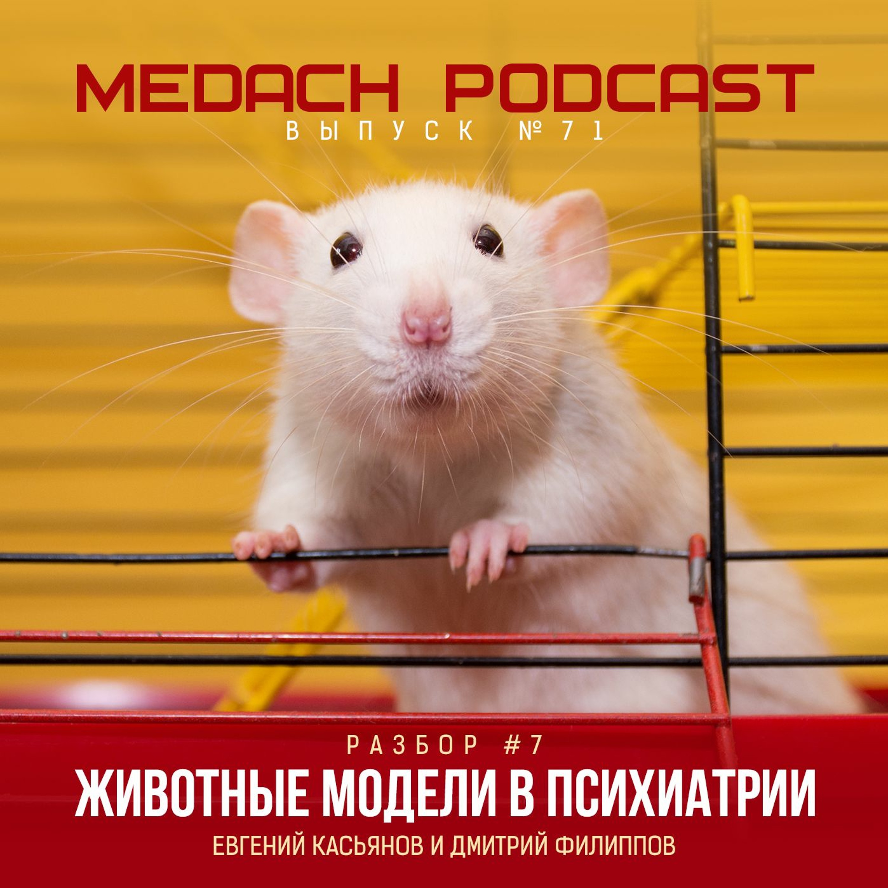 Разбор #7 | Животные модели в психиатрии