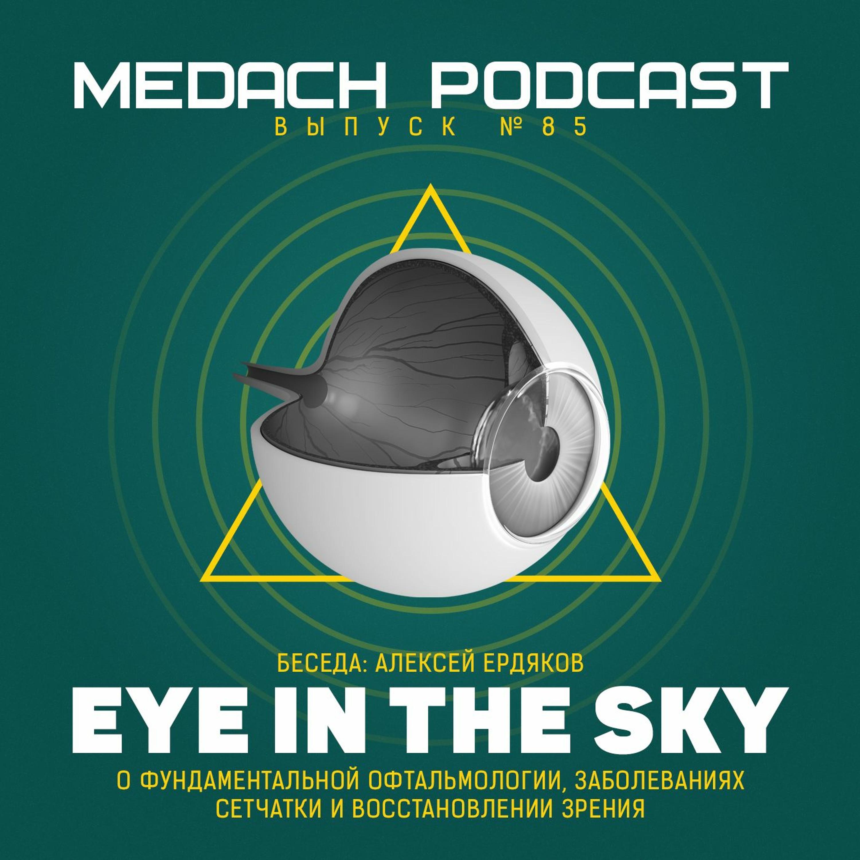 Алексей Ердяков | Eye in the Sky