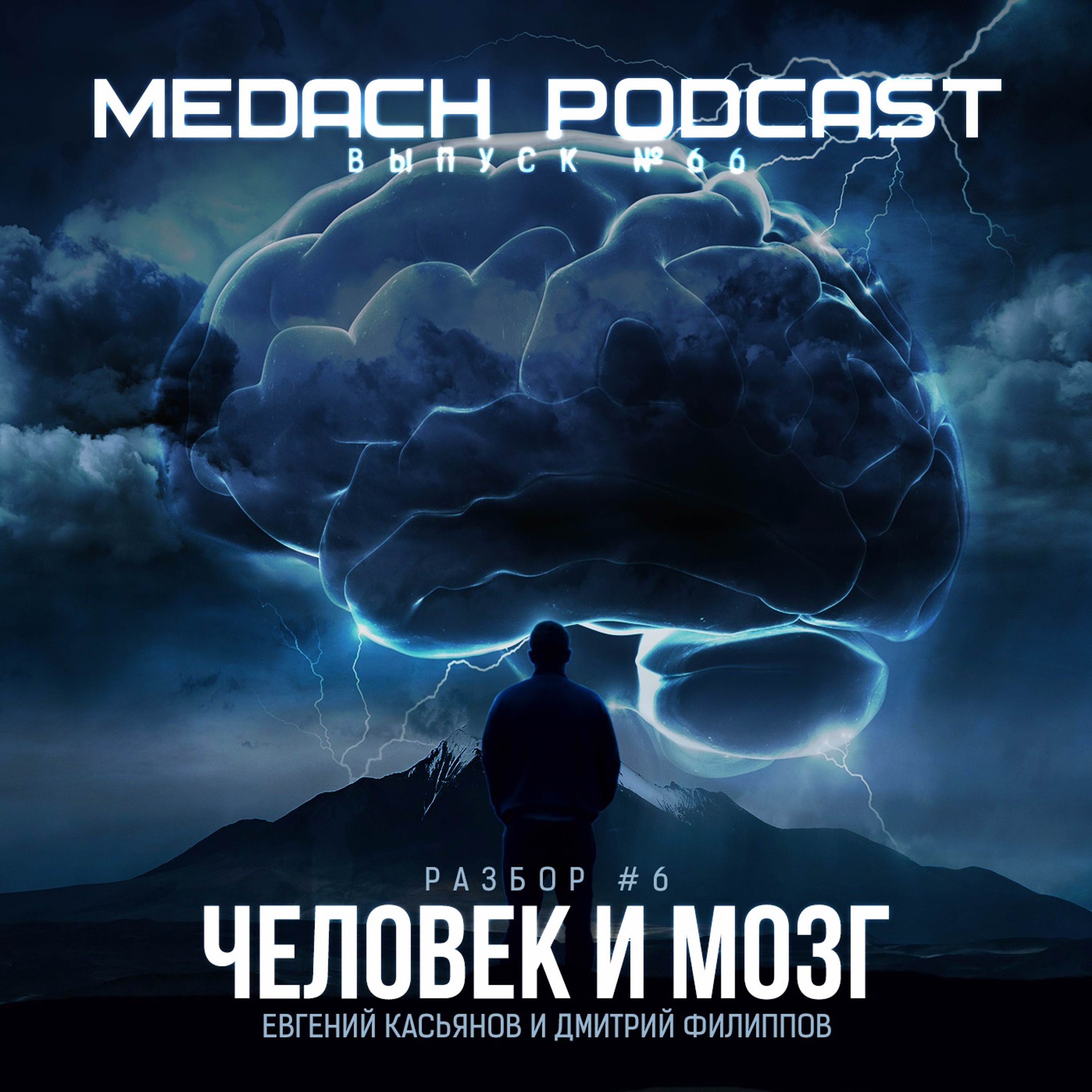 Разбор #6 | Человек и мозг