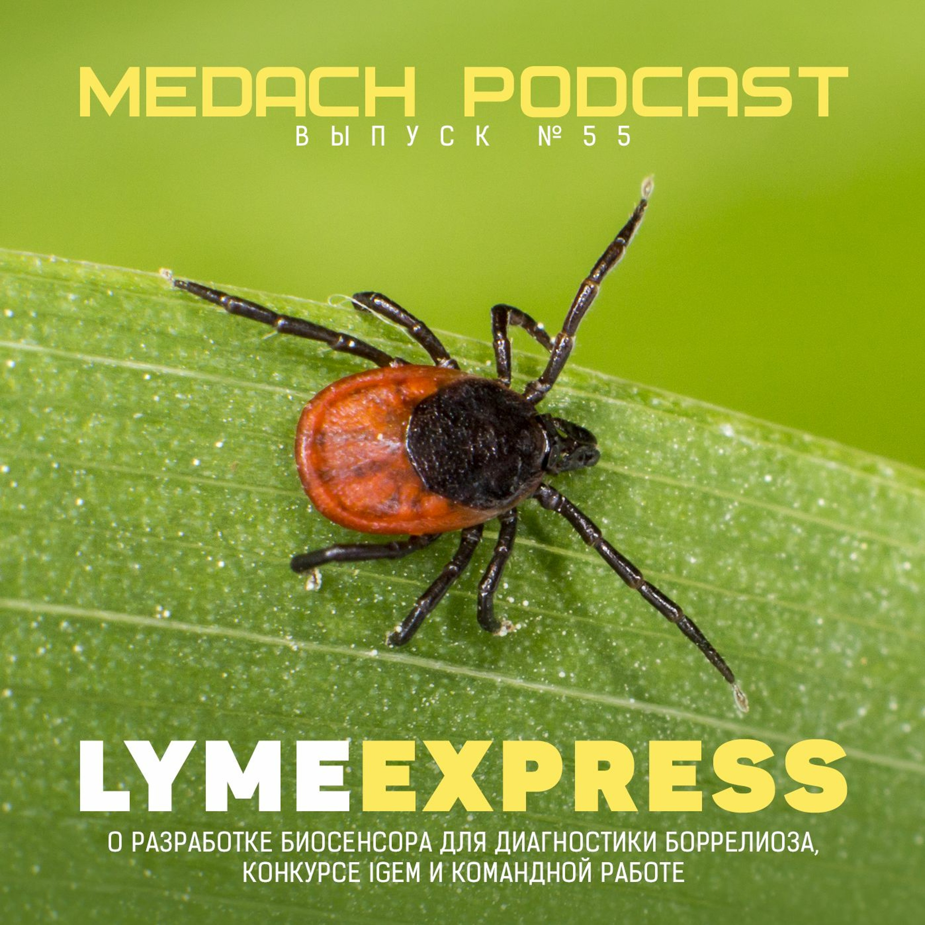 LymeExpress