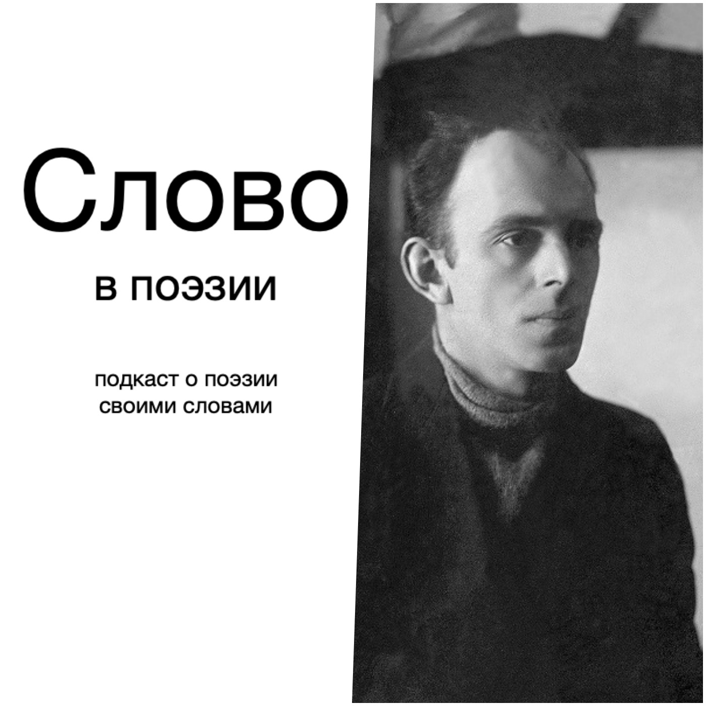 Слово в поэзии episode artwork