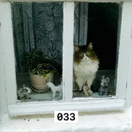 033 Шаманы посоветовали | подборка #2