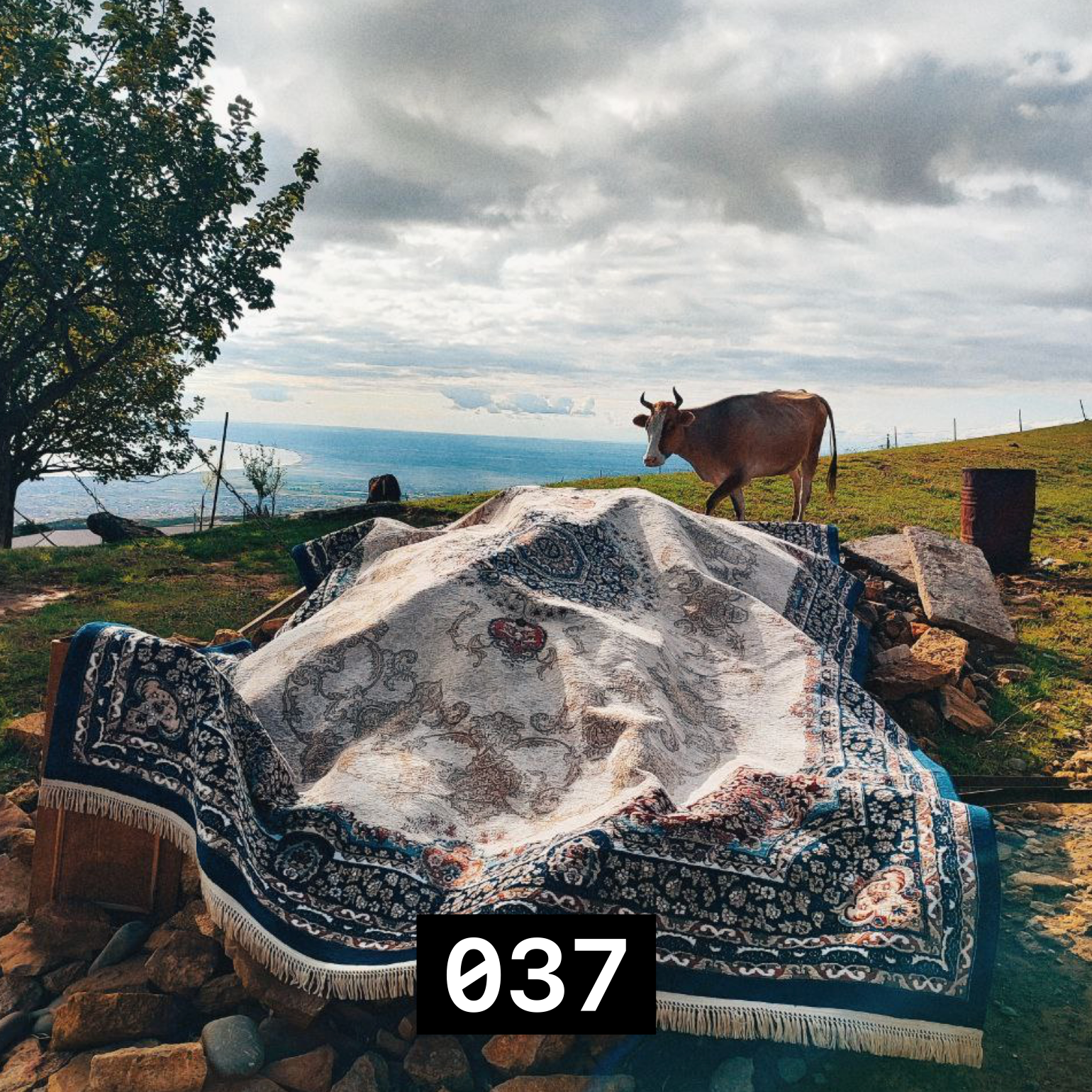 037 Есть куда идти | future techno, downtempo, Дагестан и Себастьяныч episode artwork