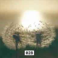 028 Дрим-поп, соул, Агузарова | Разговор о переменах