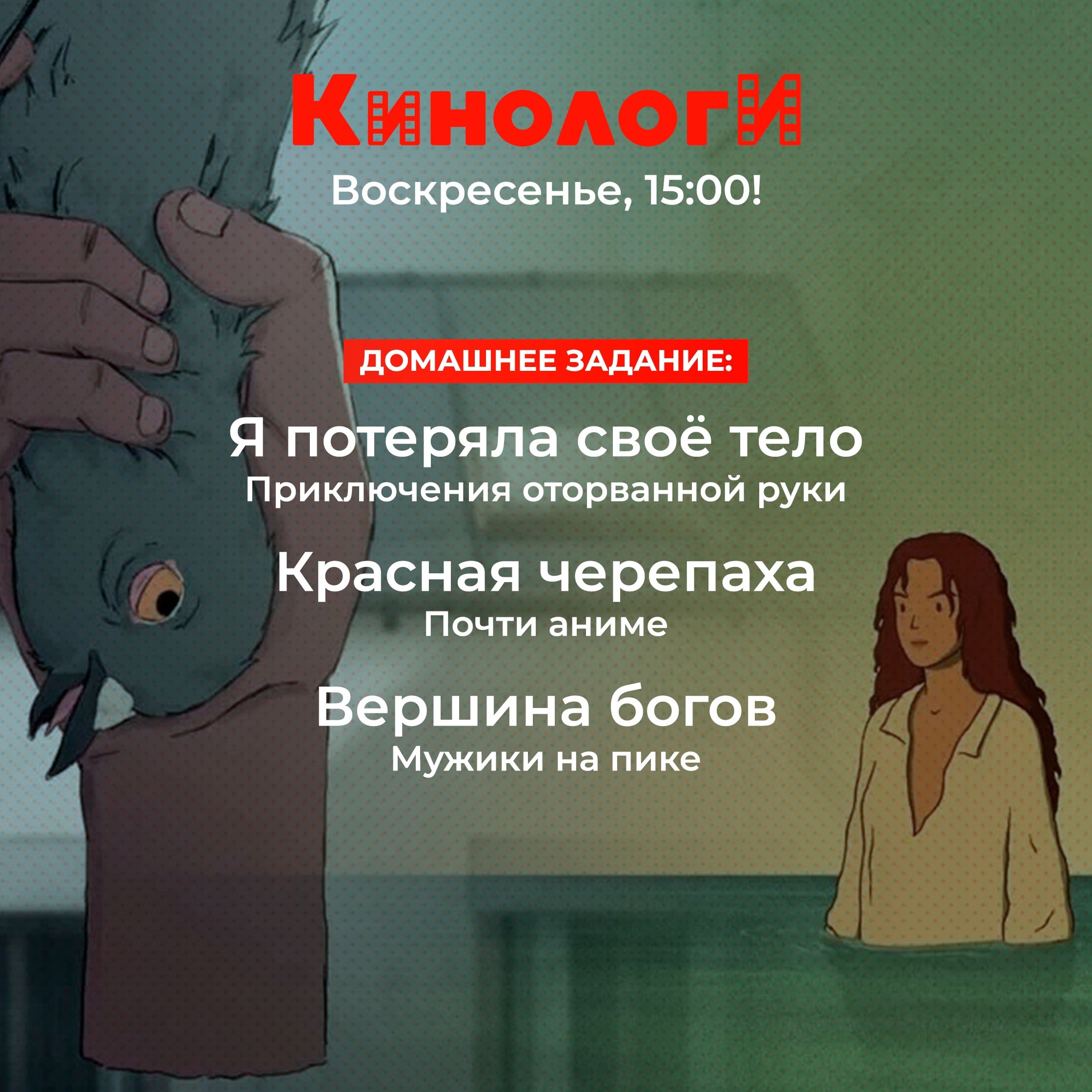 Кинологи 20241013. Красная черепаха Потеряла своё тело на Вершине богов episode artwork