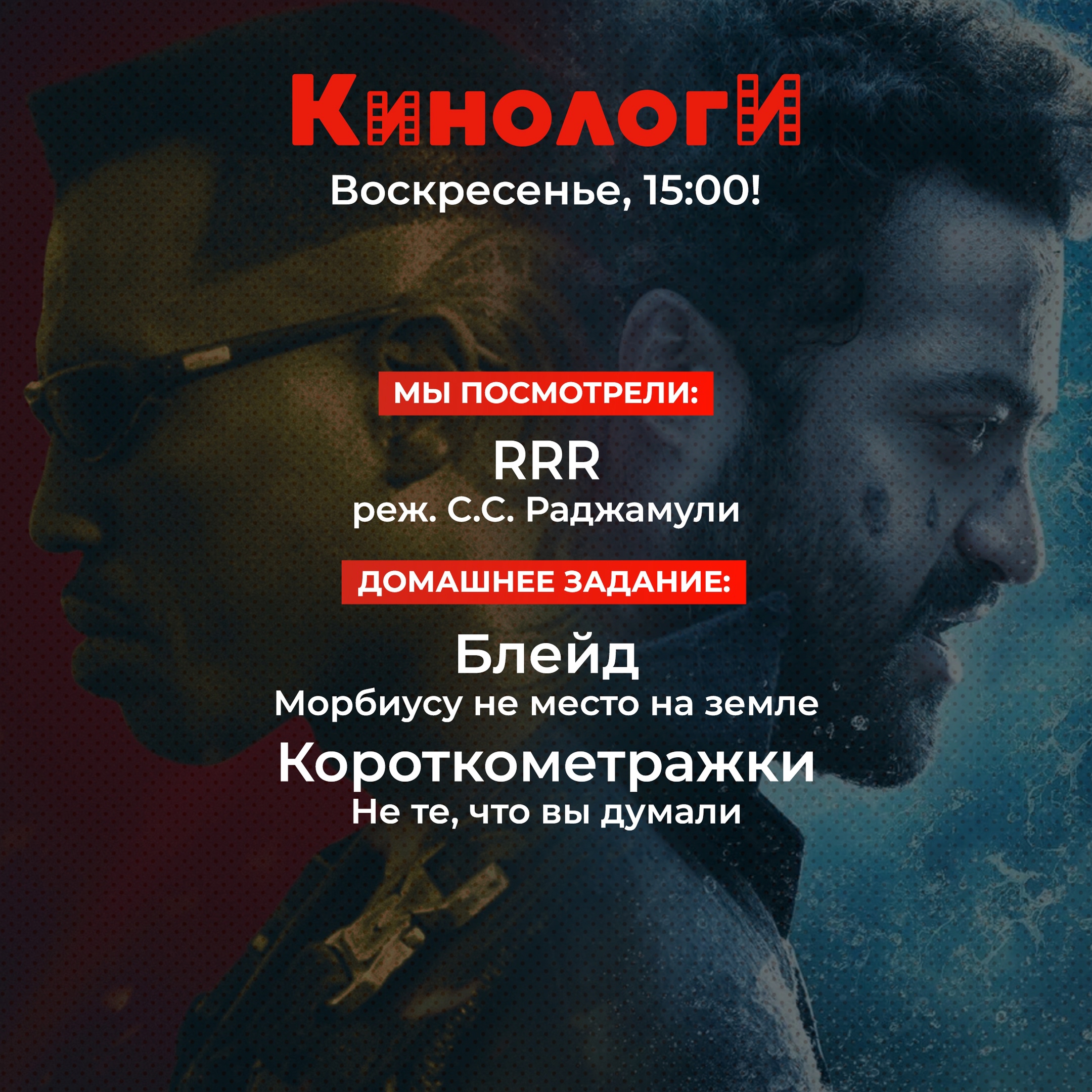 Кинологи 20220724. Line RRRider и Блэйд