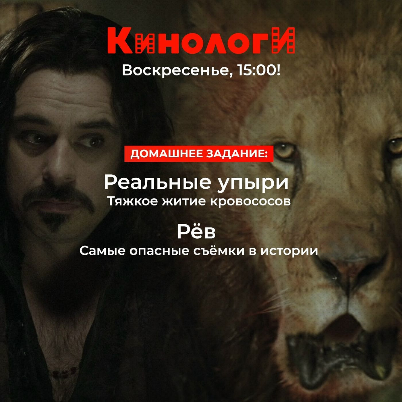 Кинологи 20251019. Рёв реальных упырей episode artwork