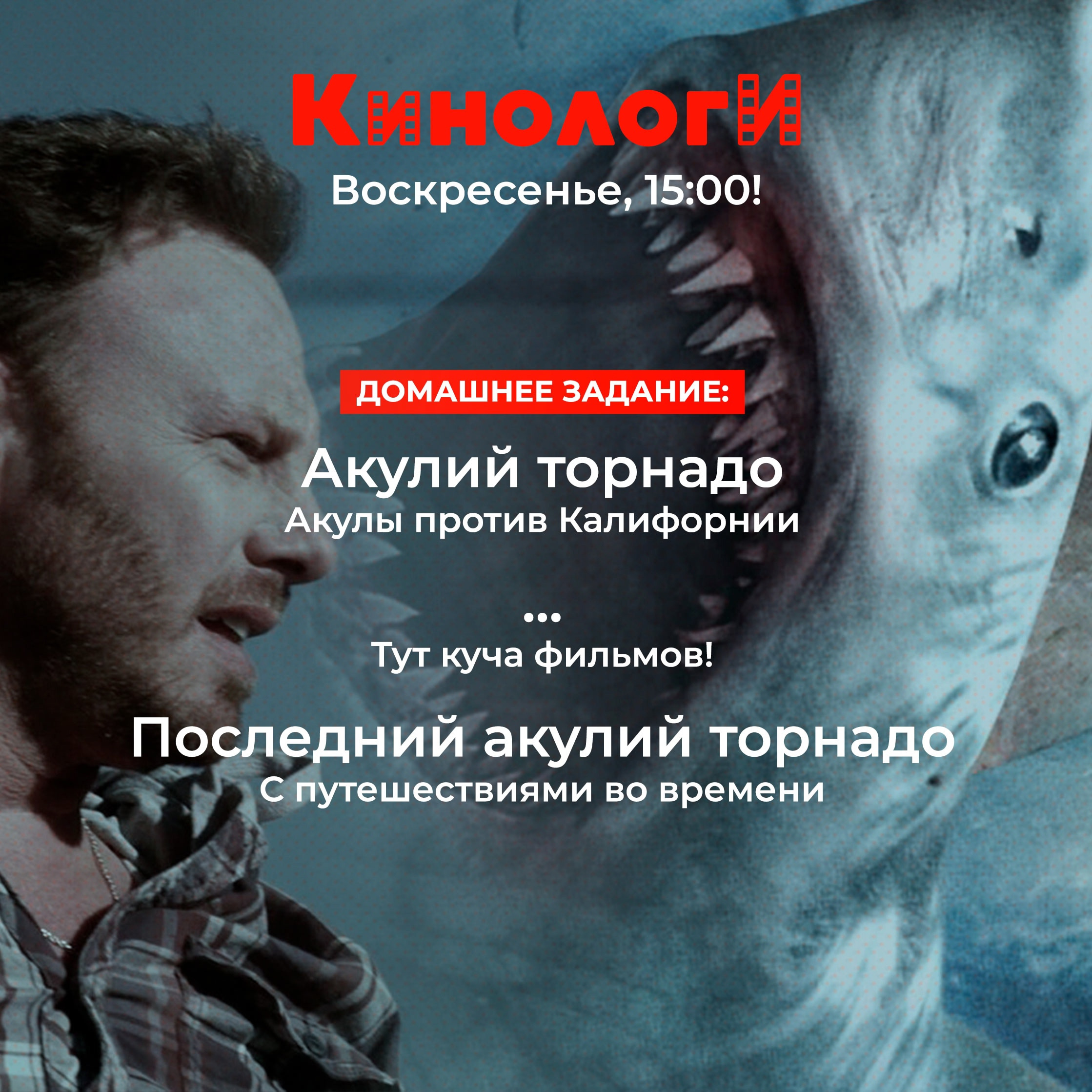 Кинологи 20250316. Спешл «Акульего торнадо» episode artwork