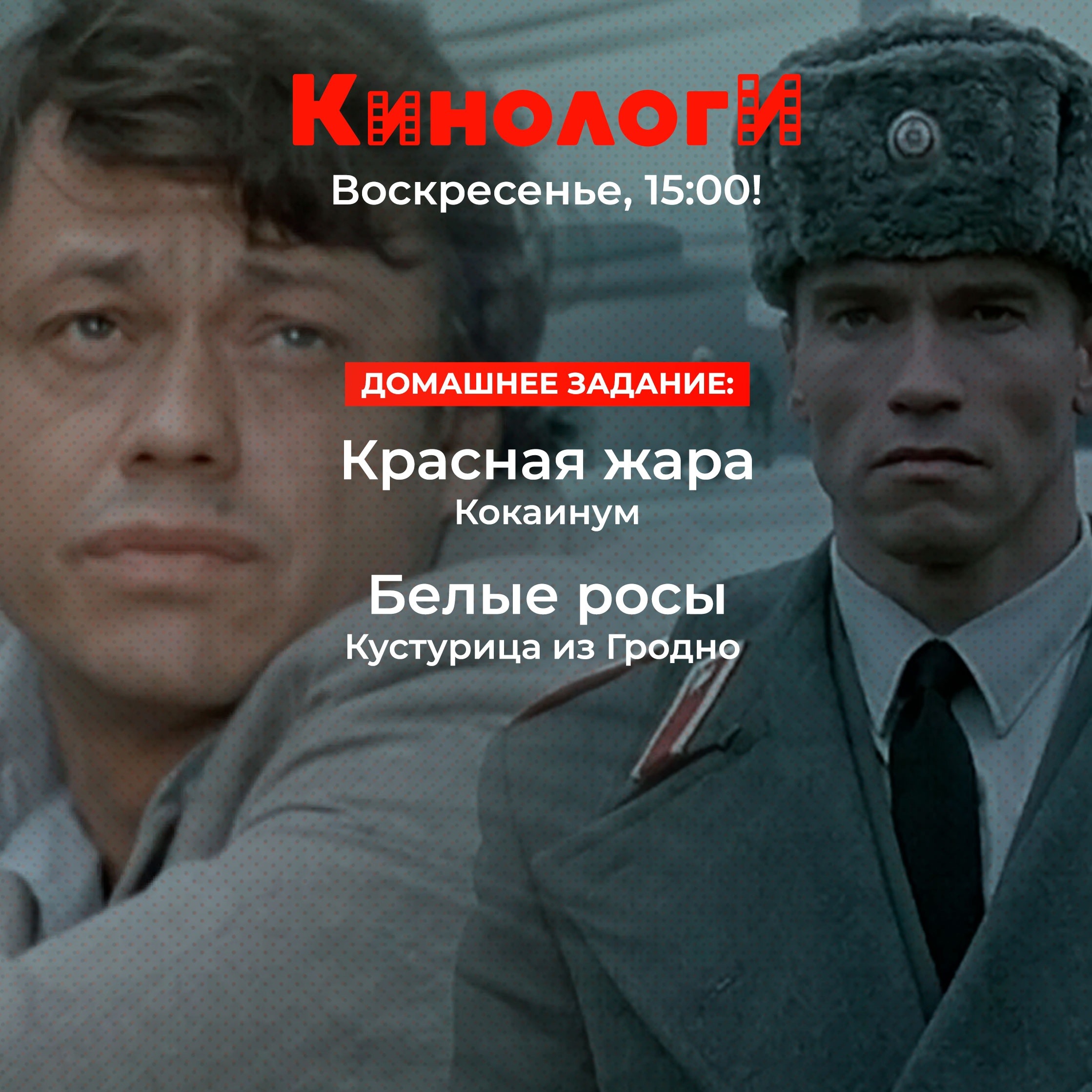 Кинологи 20240915. Красная жара в Белых росах episode artwork