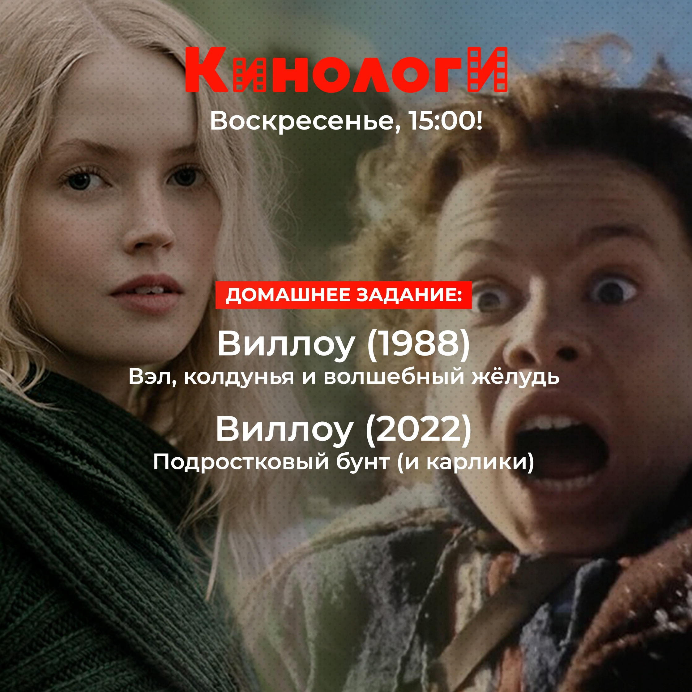 Кинологи 20250420. «Уиллоу». Небольшой спешл episode artwork