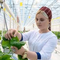 Аграрные атташе: сельское хозяйство международного уровня. Как в МГИМО готовят специалистов для мировых аграрных рынков