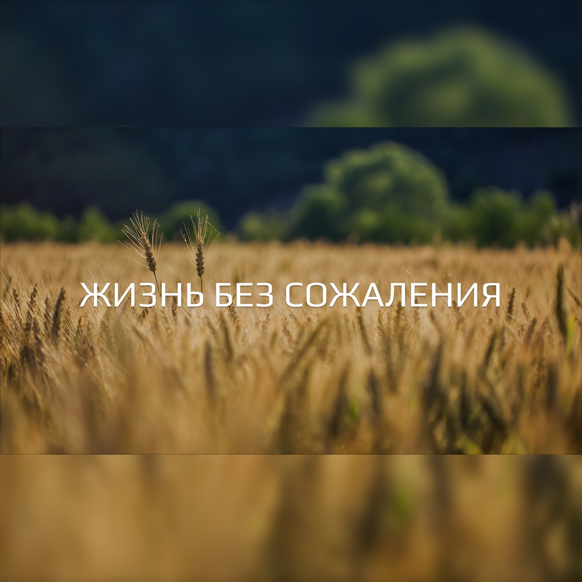 Жизнь без сожаления (Еф. 5:15-21) – Алексей Кузнецов