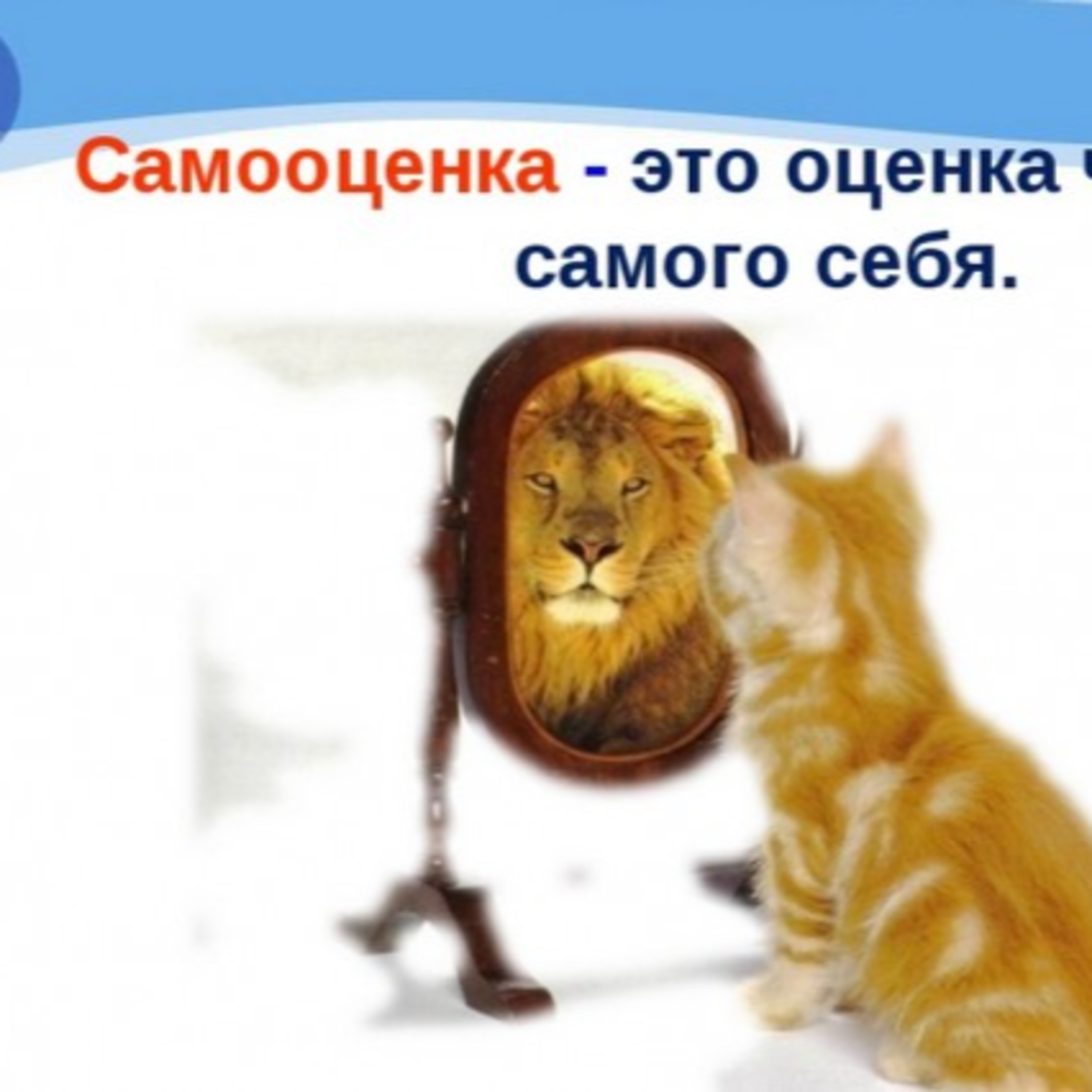 Самооценка episode artwork