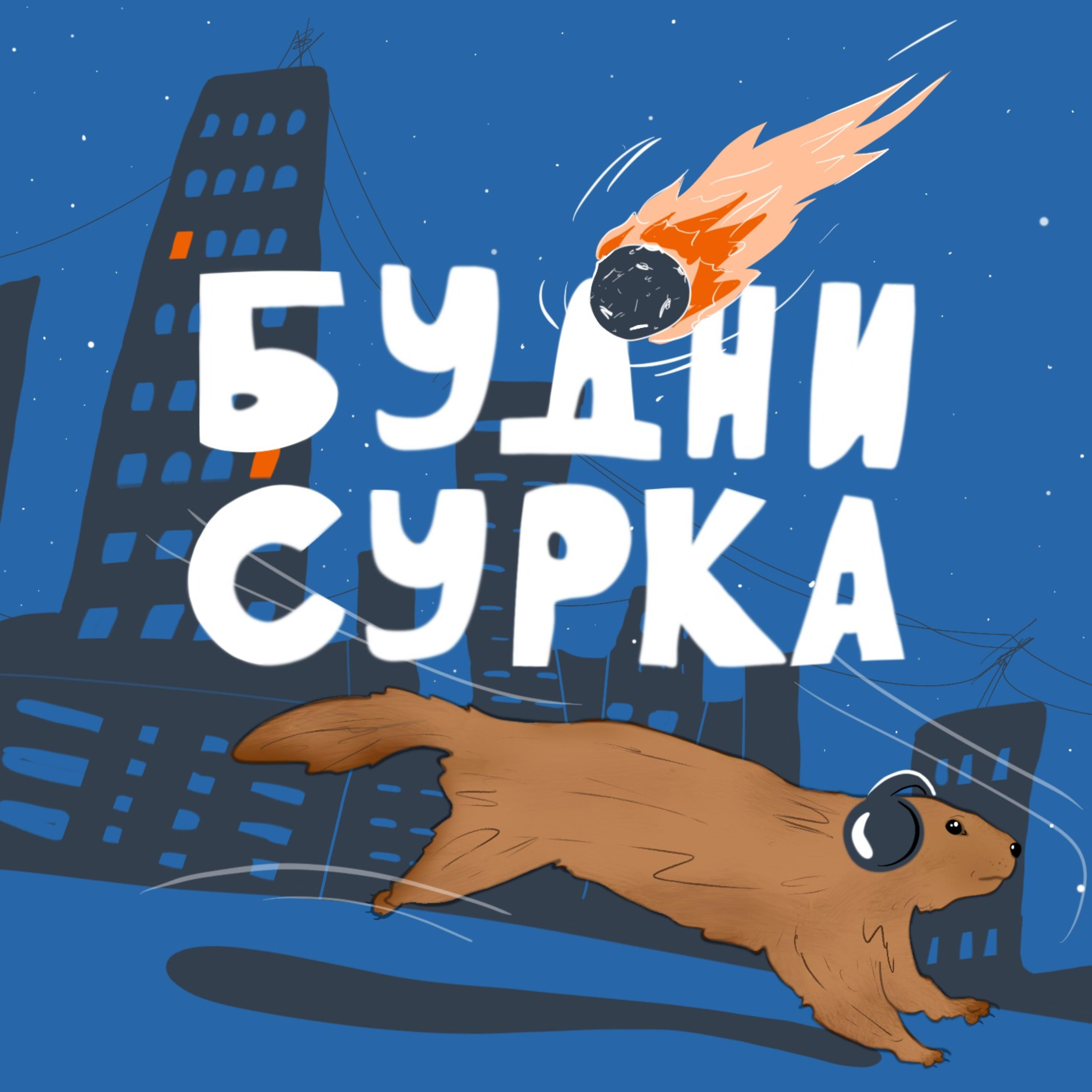 Действительно ли стоит учится в университете? — Будни Сурка №65 podcast