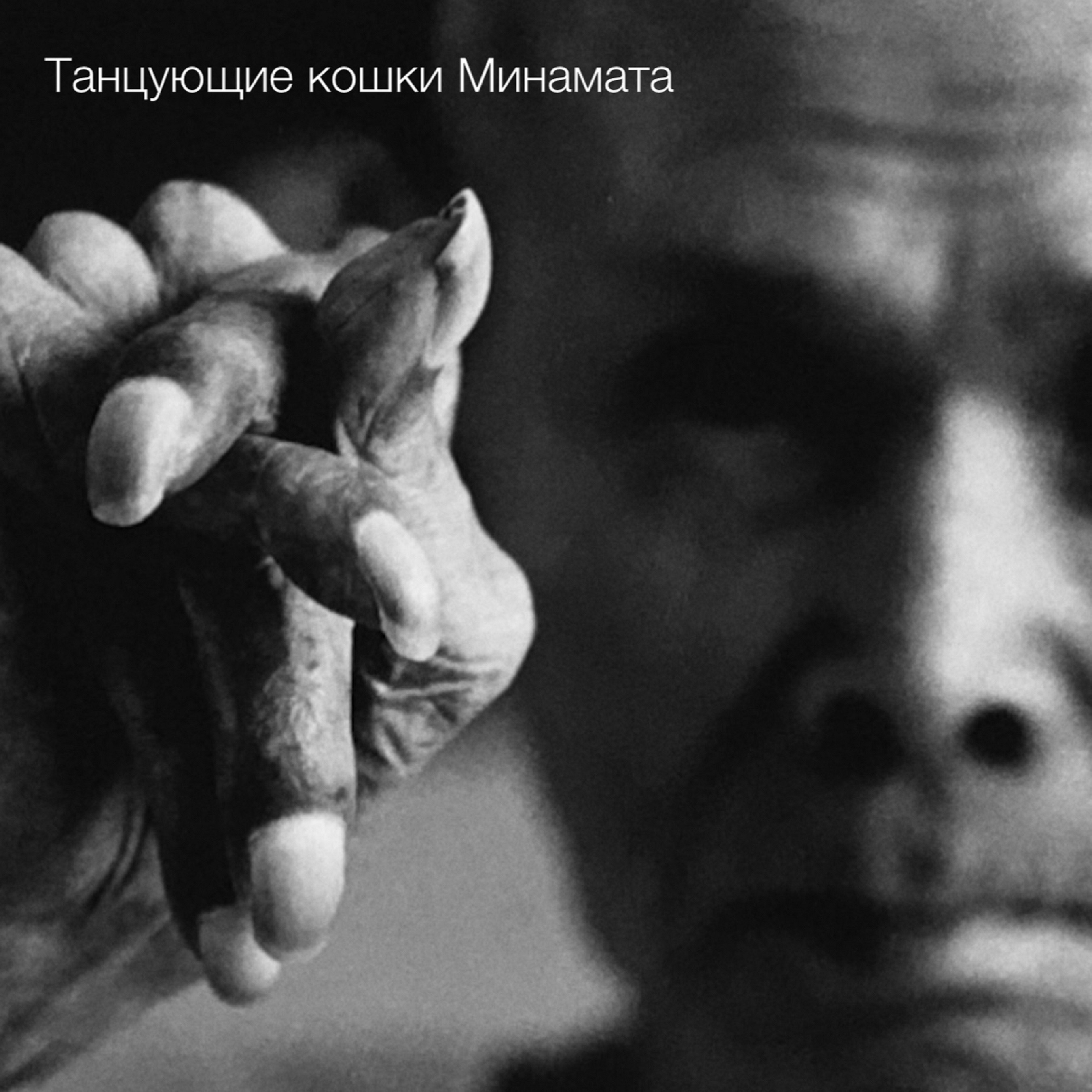 Танцующие кошки Минамата