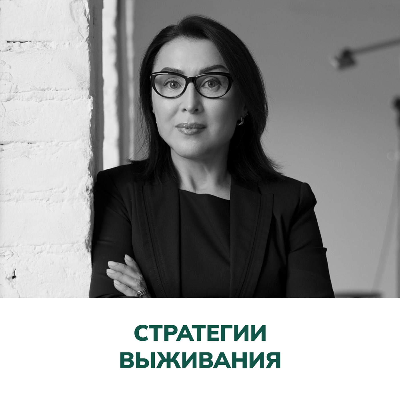 Стратегии выживания. Терапия отношений (Елена Валерьевна Змановская) episode artwork