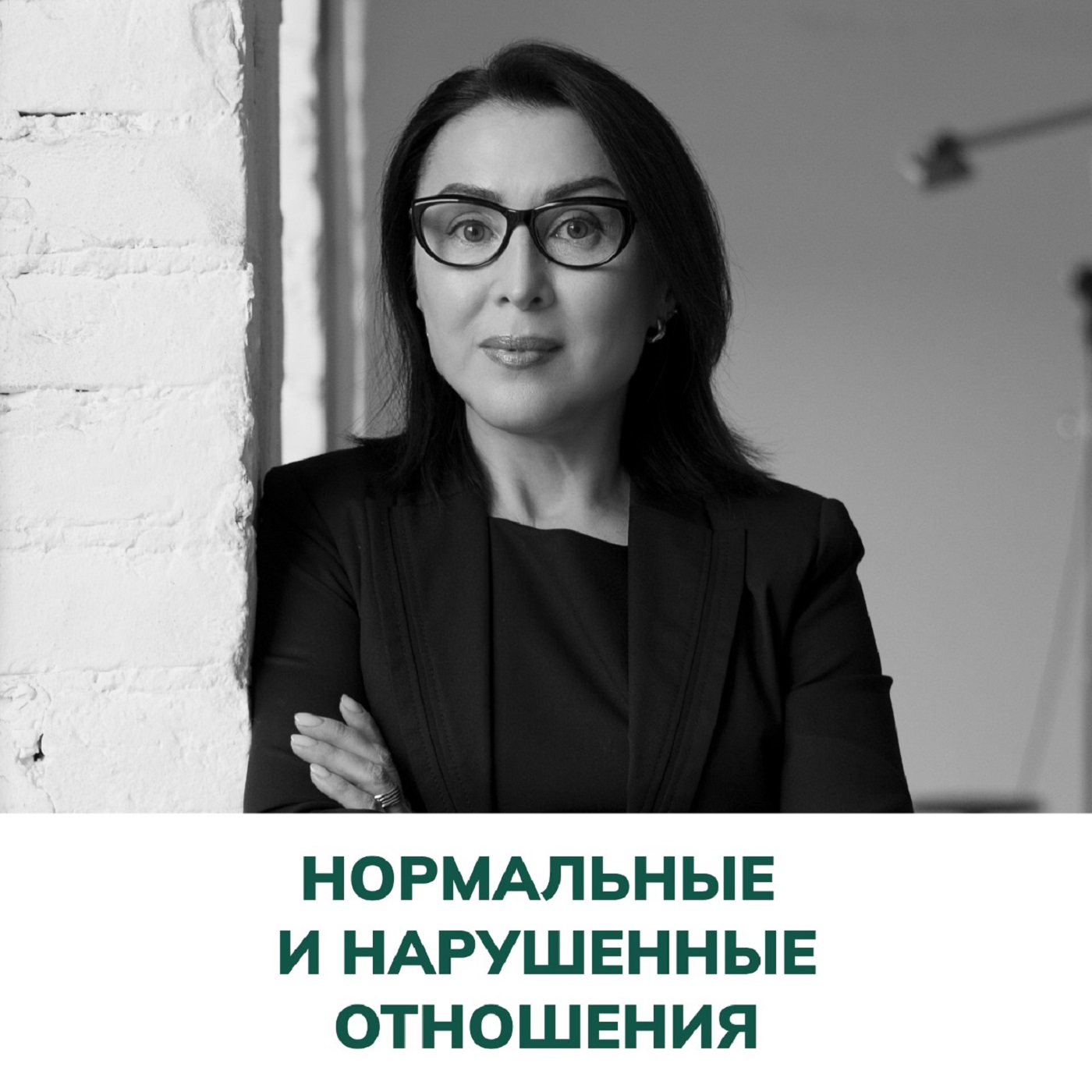Нормальные и нарушенные отношения. Терапия отношений (Елена Валерьевна Змановская) episode artwork