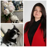 Приключение виноградной лозы, или Карьерные путешествия Молдаванки