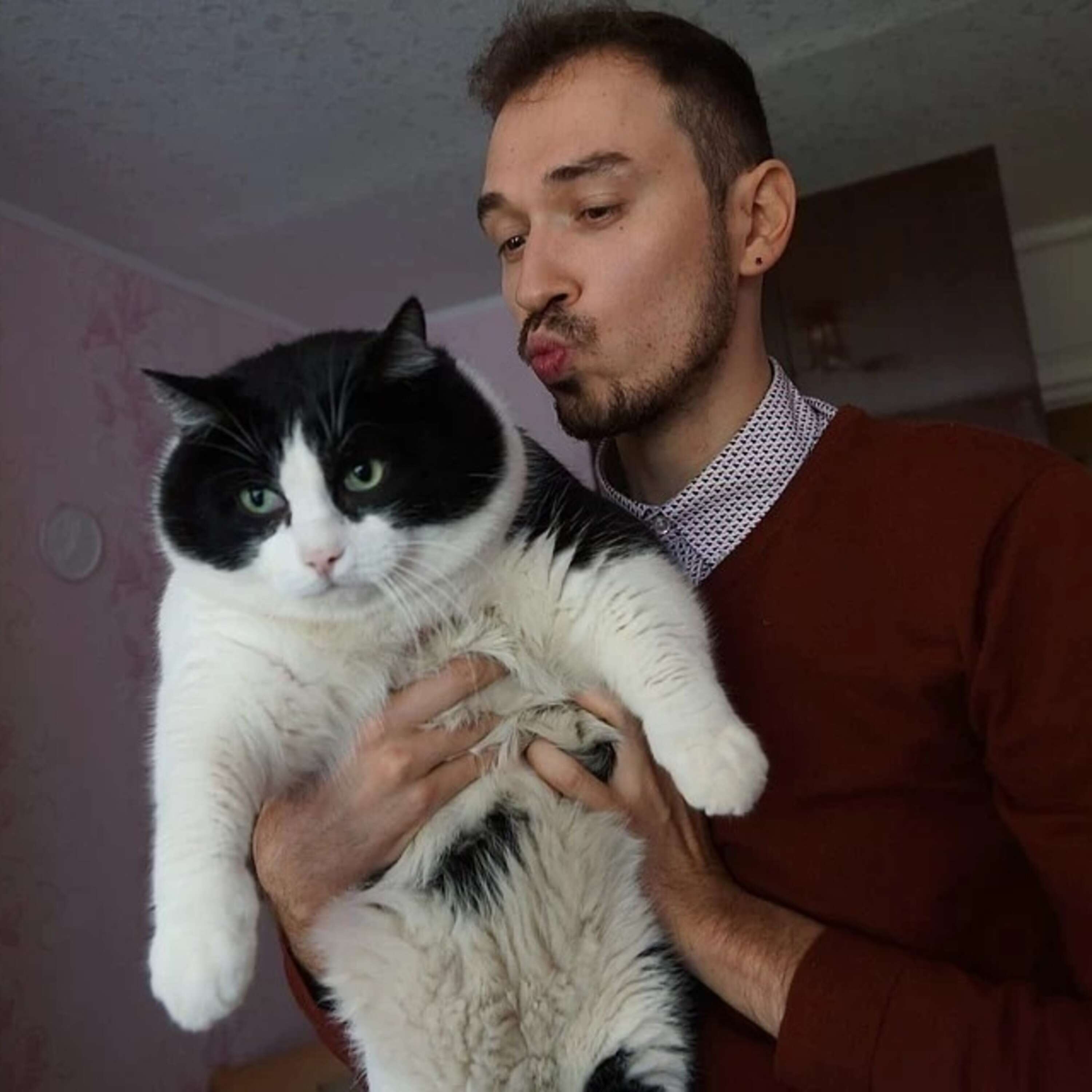 «У меня потерялась кошка» и «Сказка о 4 котятах и 4 ребятах». Читает Андрей Горбунов