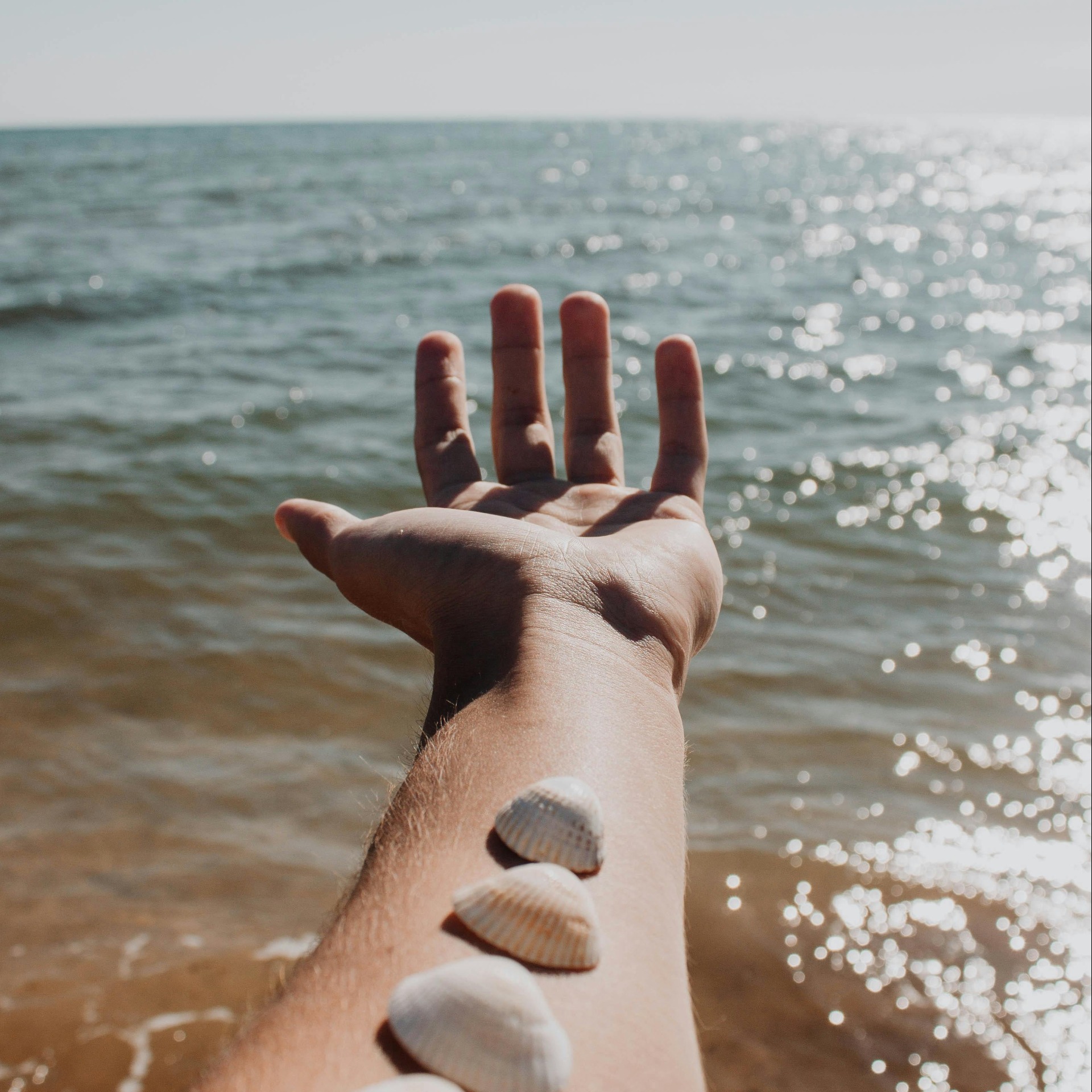 Дальше слов. Медитации.