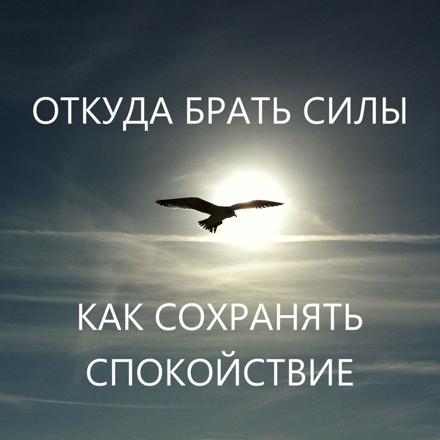 Наука быть спокойным episode artwork